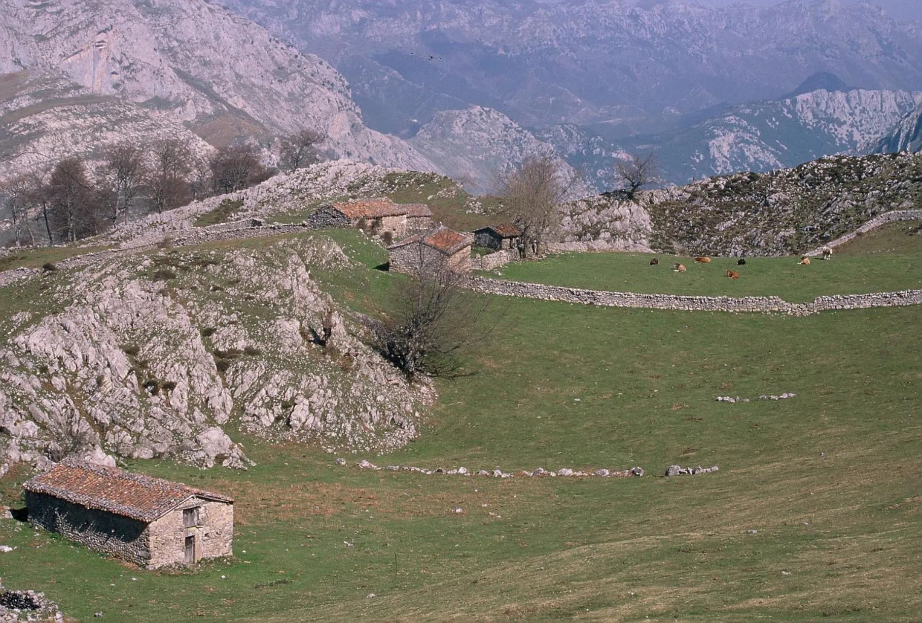 Hiking in Hotel Picos de Europa