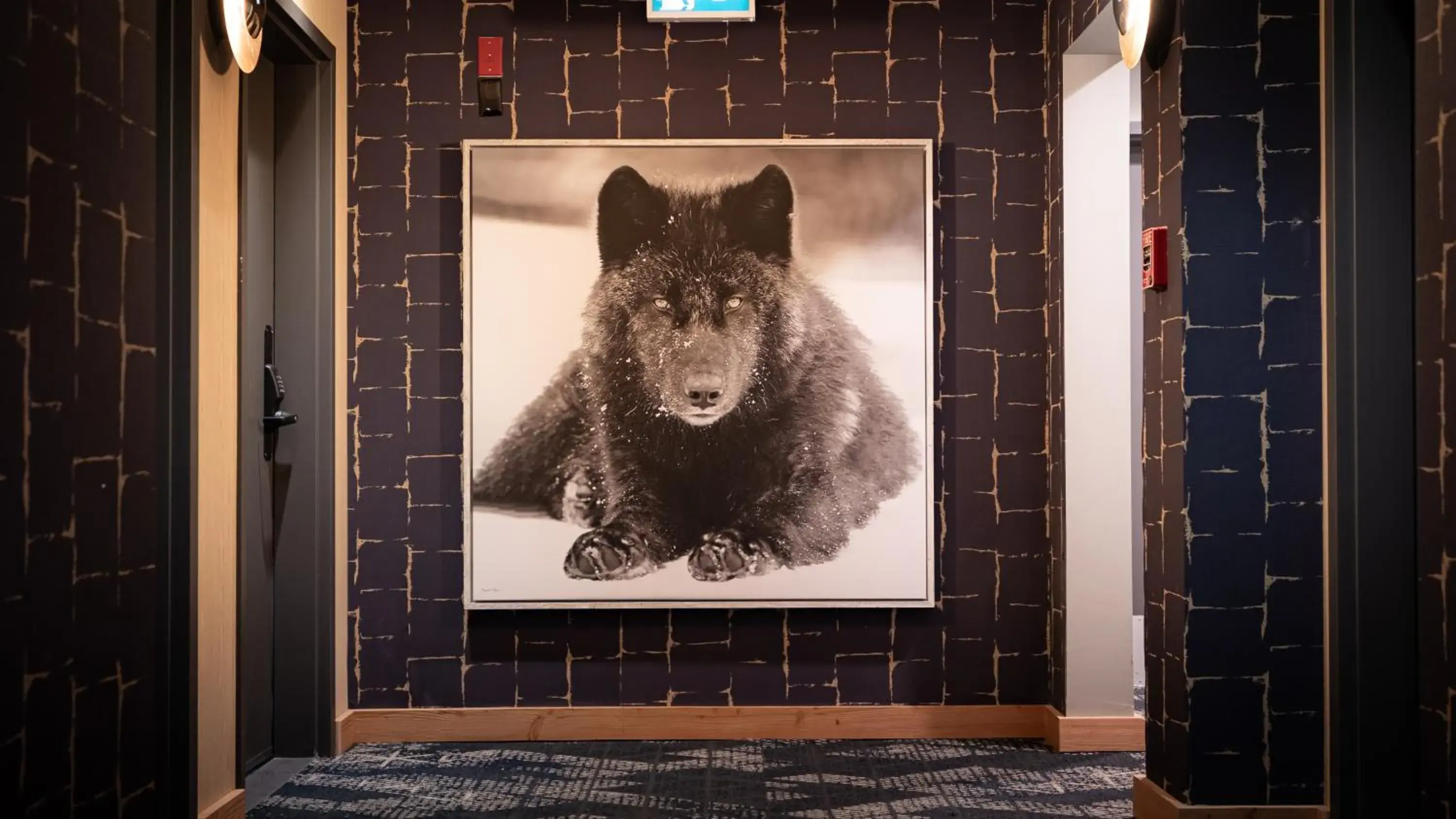 Lobby or reception in MTN House By Basecamp Lobby or reception in MTN House By Basecamp