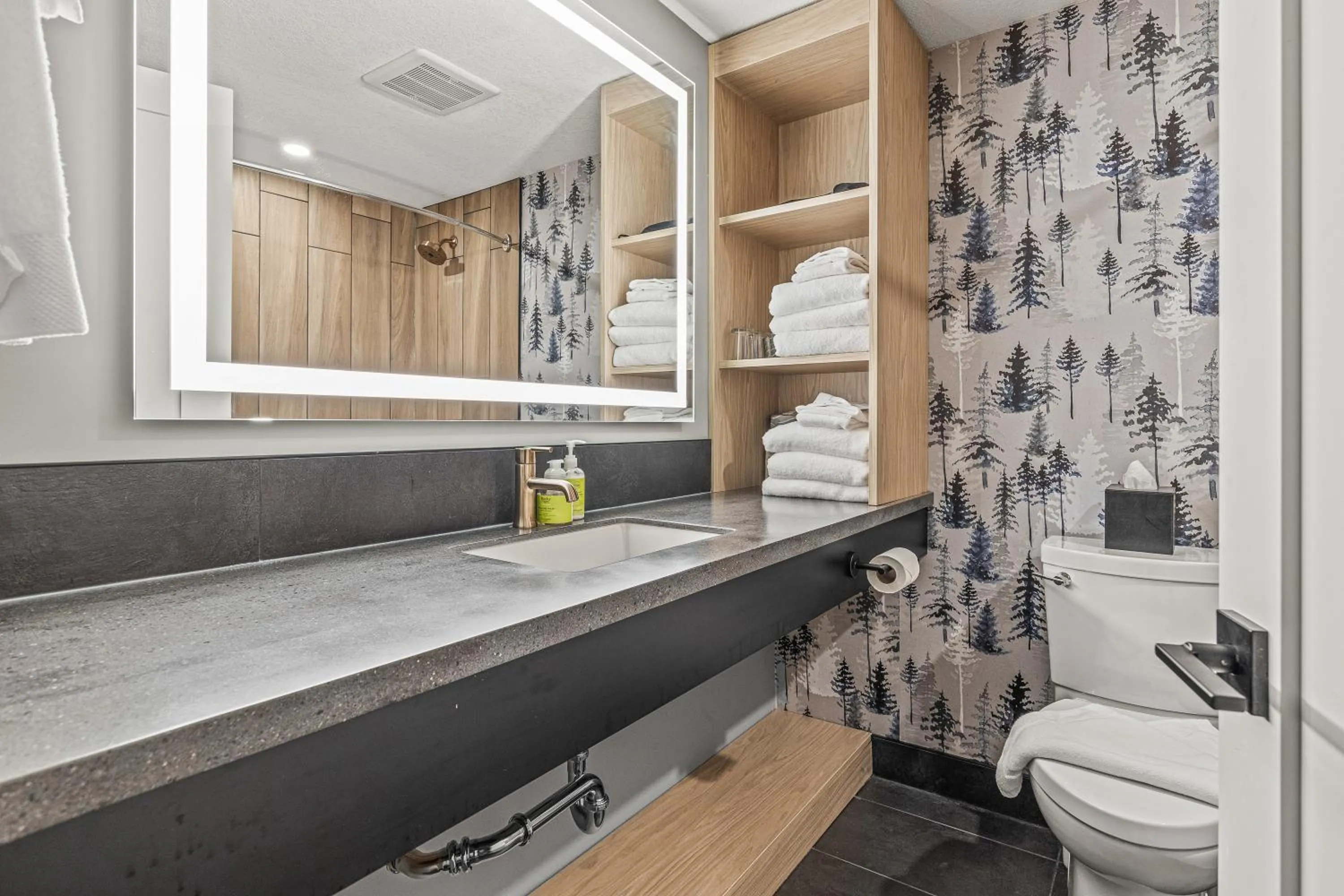 Bathroom in Everwild Canmore Hotel