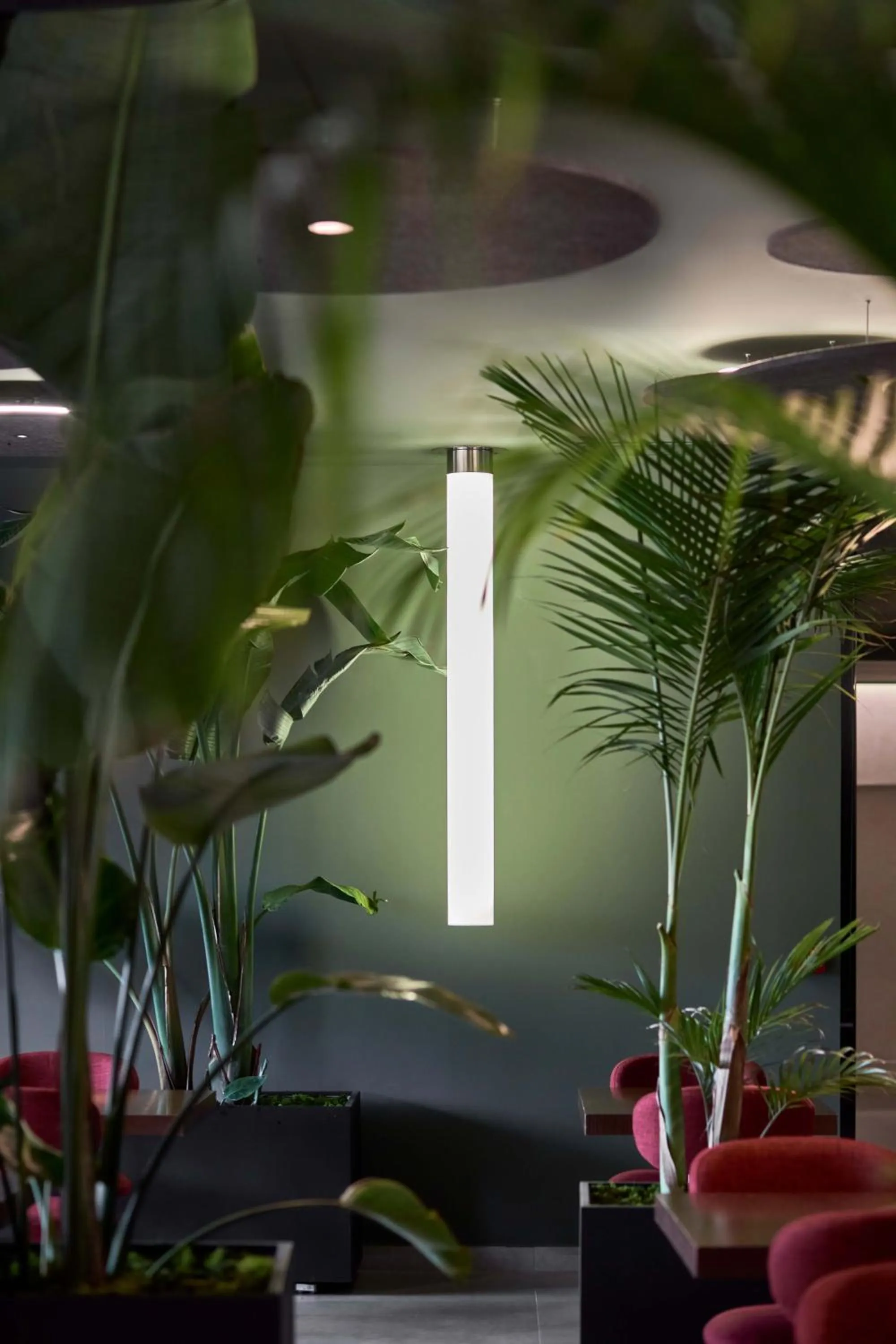 Spa Jardines de Lorca