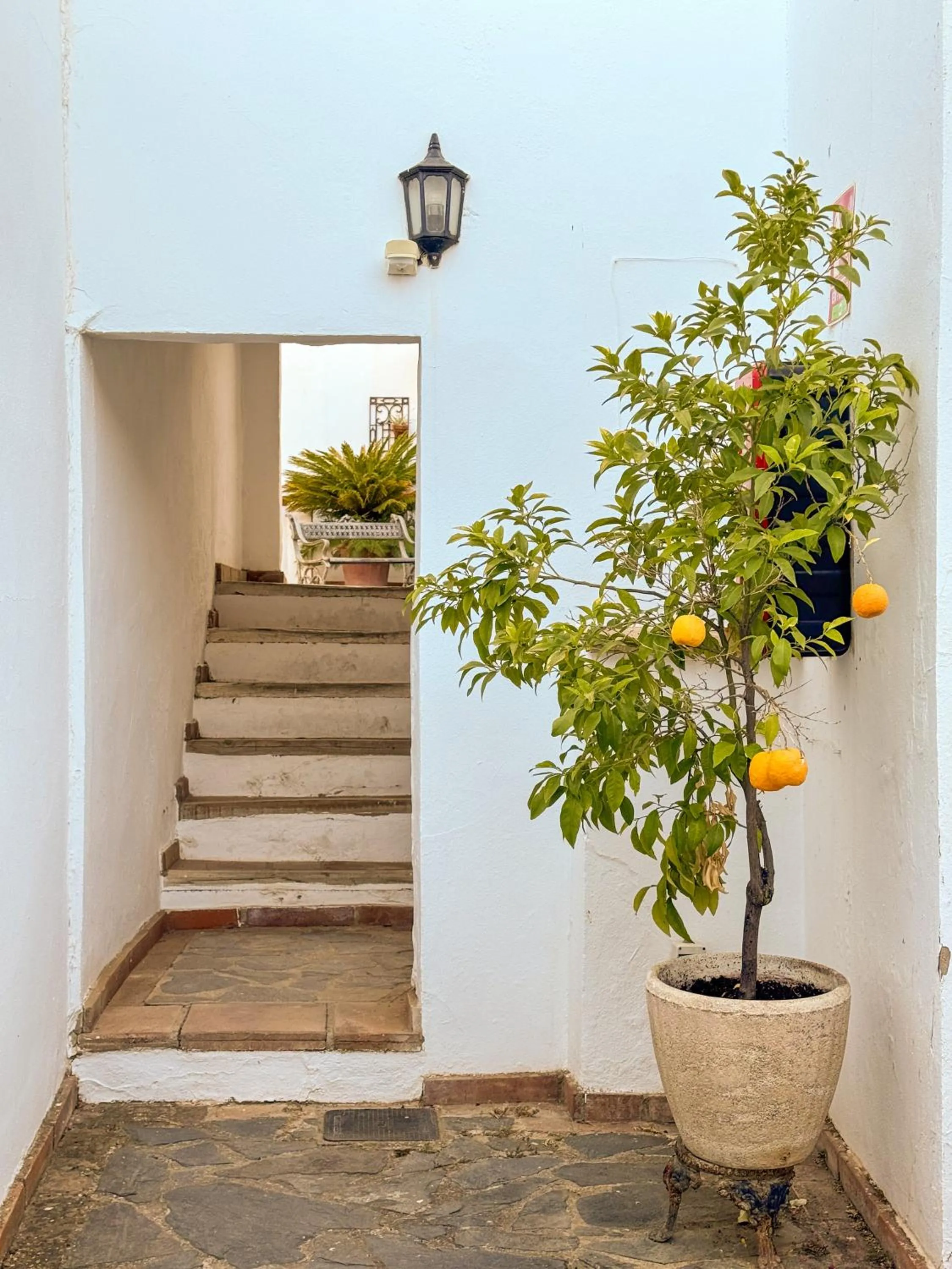 Garden in Hotel Cortijo Las Piletas