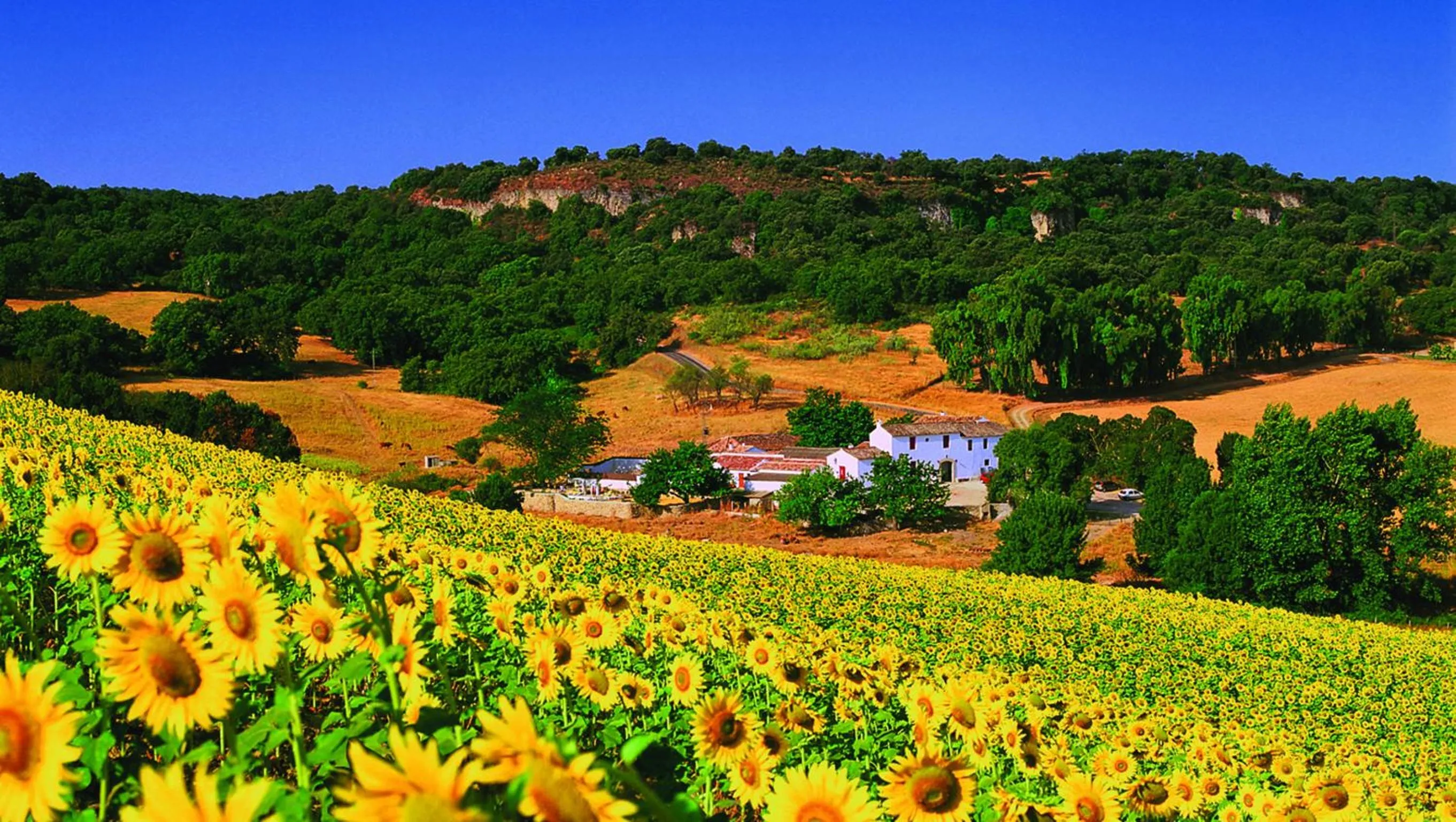 Bird's eye view in Hotel Cortijo Las Piletas