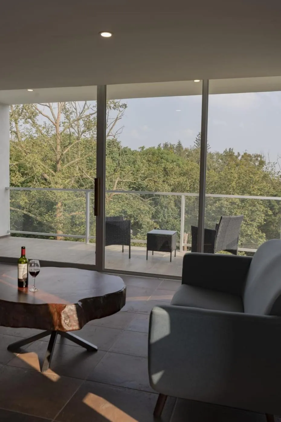 View (from property/room) in Hotel Balcón del Parque