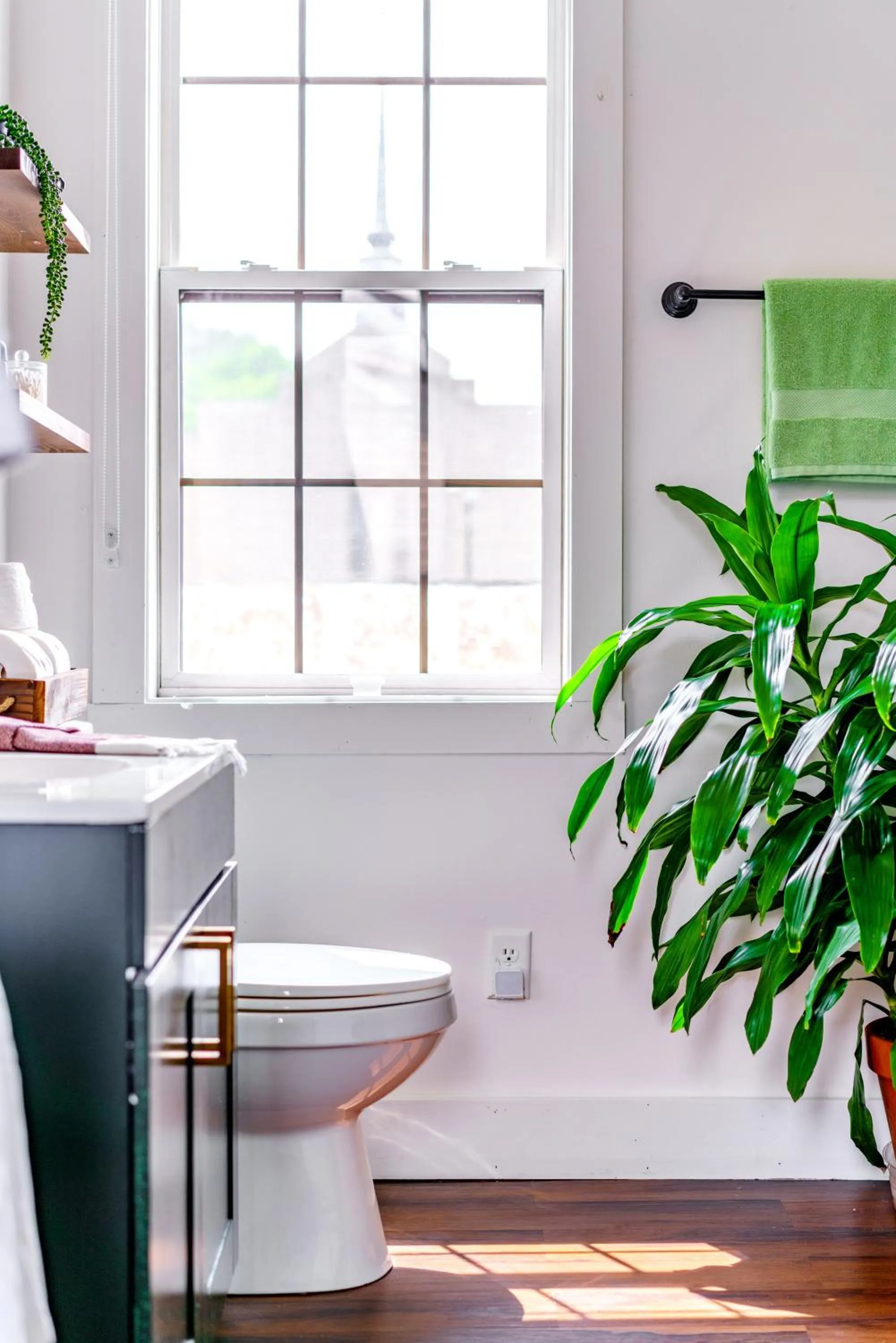 Jungle House Luxury Stays - Downtown Chillicothe