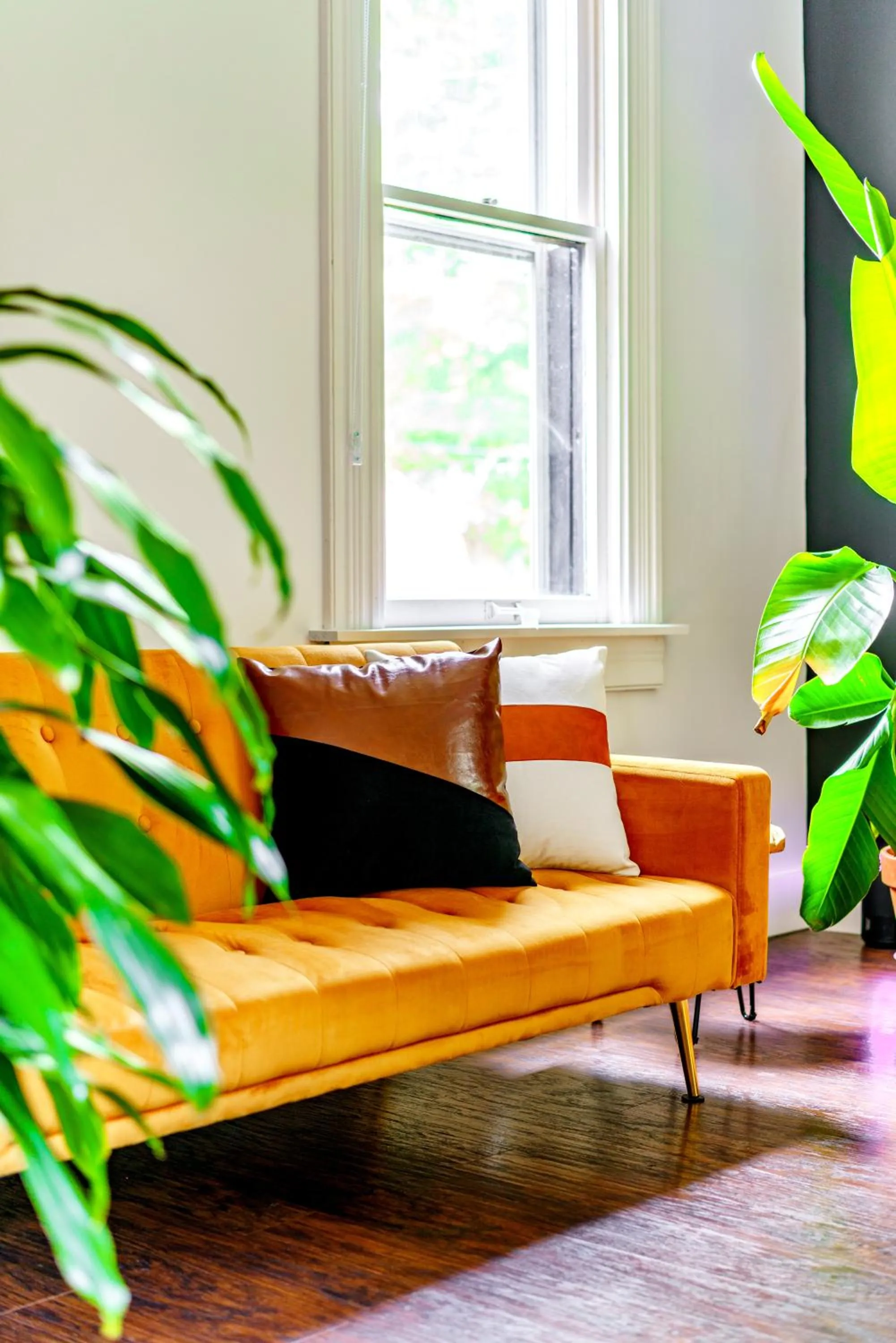 Jungle House Luxury Stays - Downtown Chillicothe