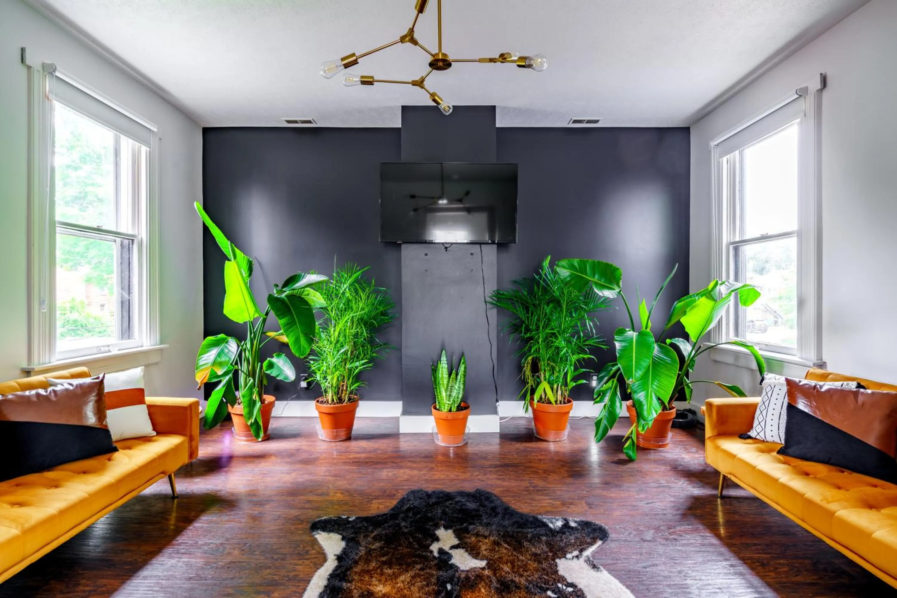 Jungle House Luxury Stays - Downtown Chillicothe