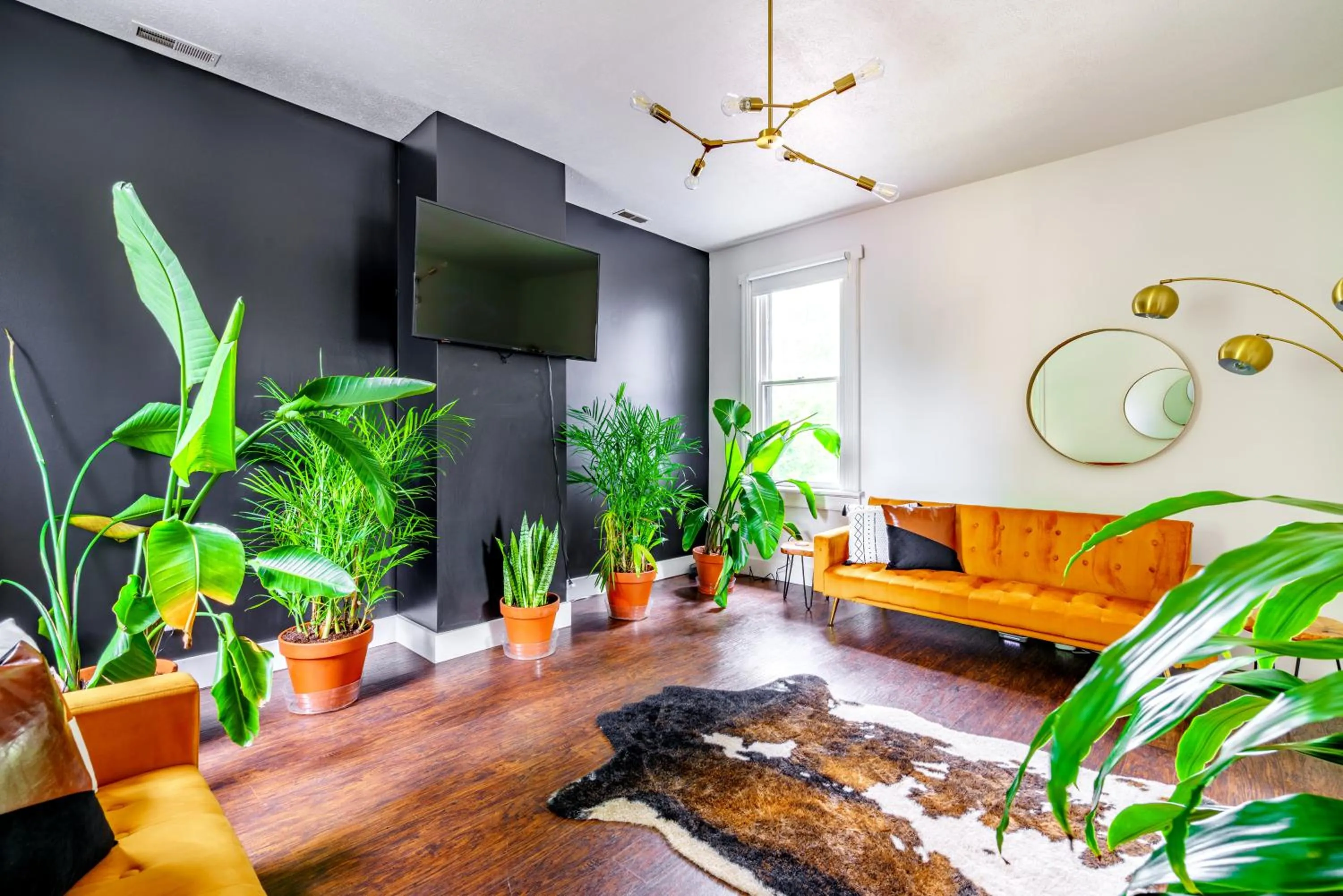 Jungle House Luxury Stays - Downtown Chillicothe