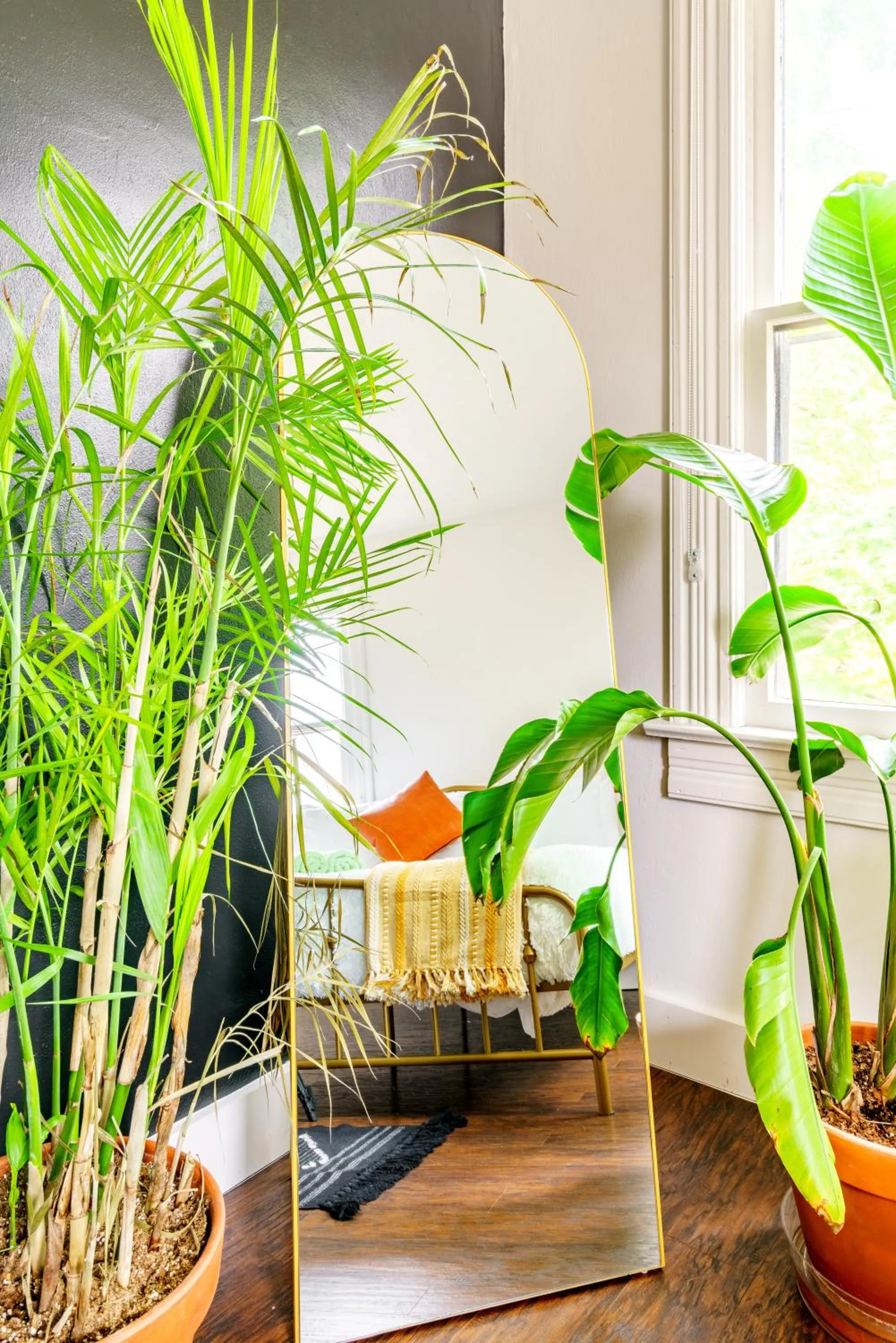 Jungle House Luxury Stays - Downtown Chillicothe