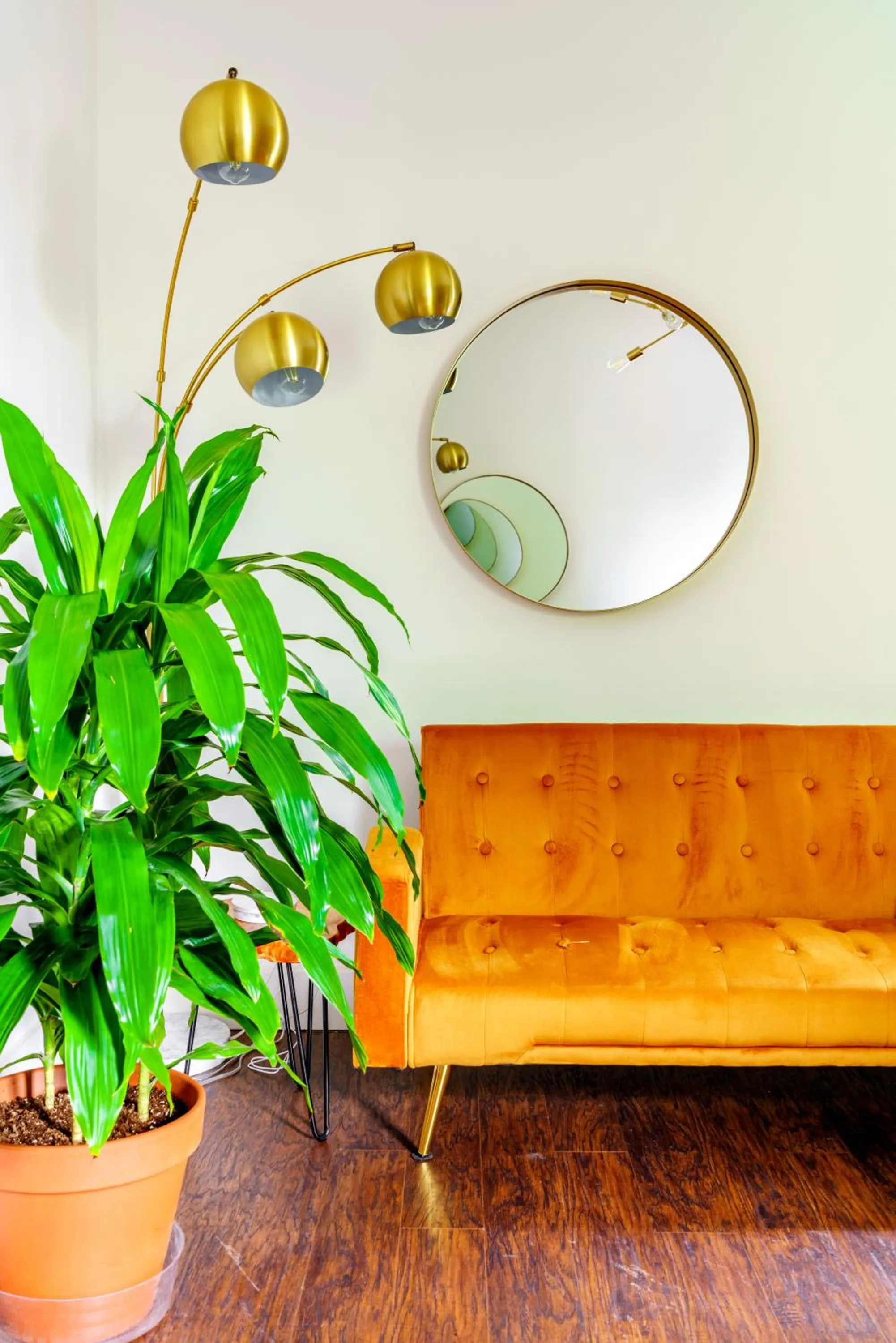 Jungle House Luxury Stays - Downtown Chillicothe