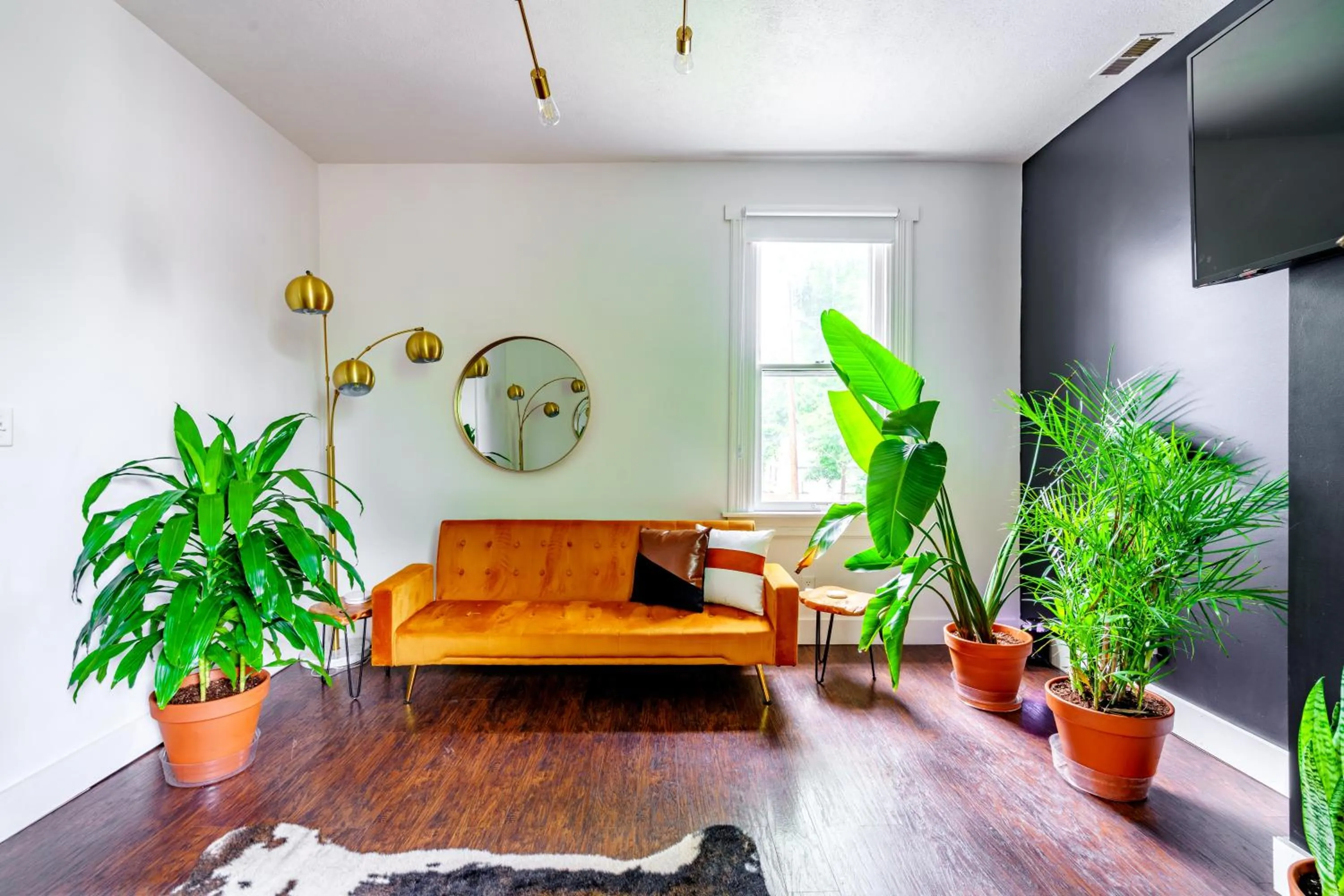 Jungle House Luxury Stays - Downtown Chillicothe