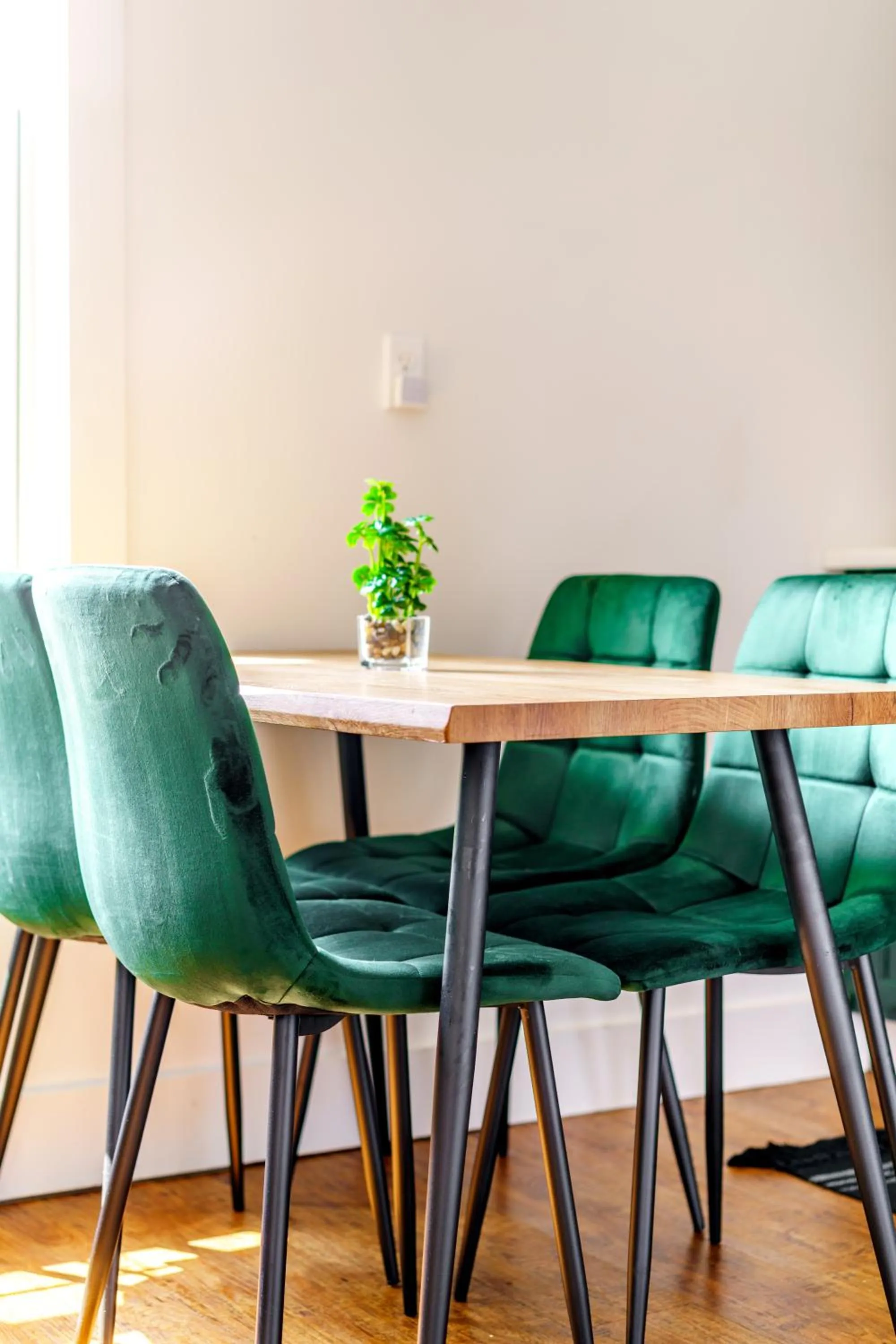 Jungle House Luxury Stays - Downtown Chillicothe