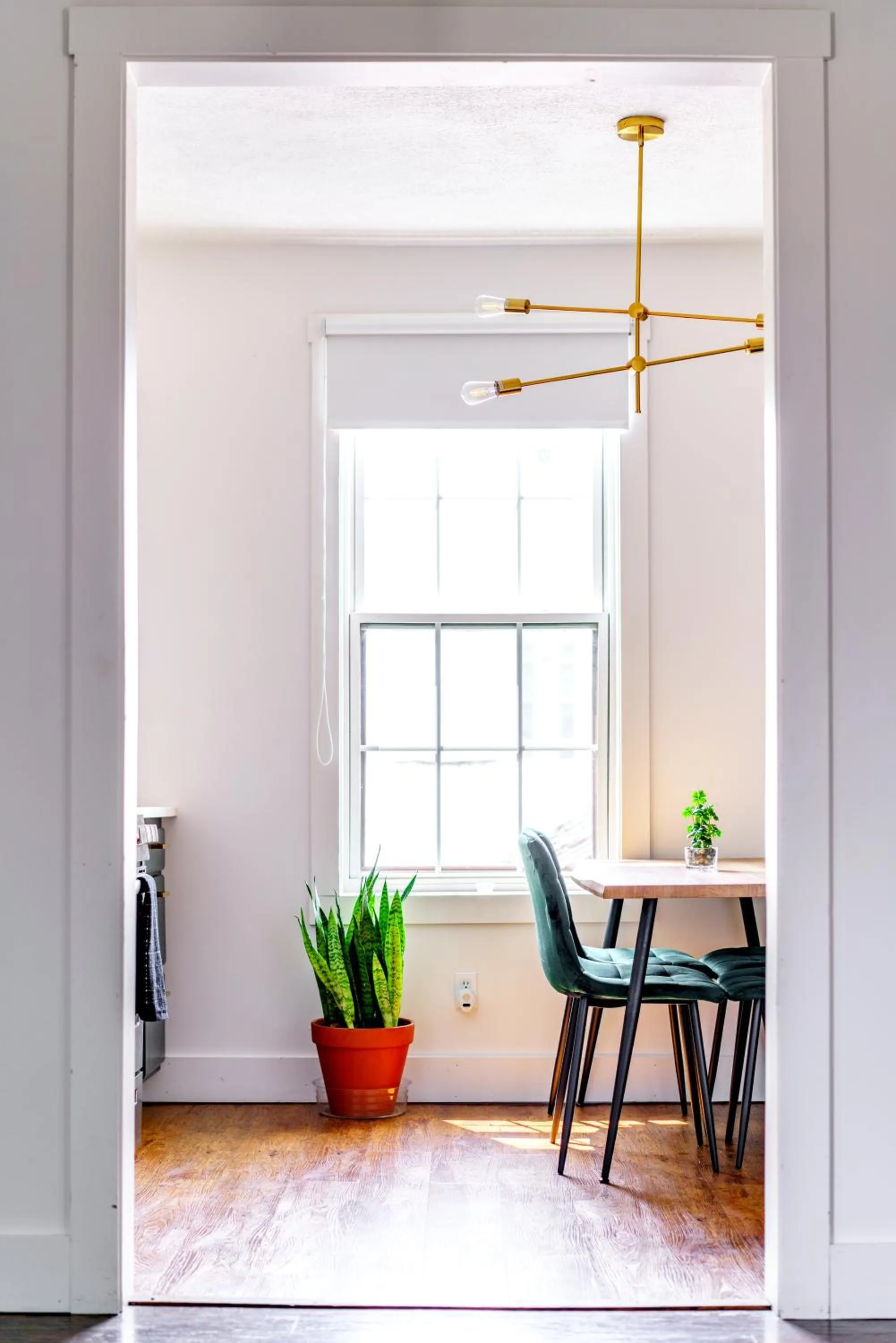 Jungle House Luxury Stays - Downtown Chillicothe