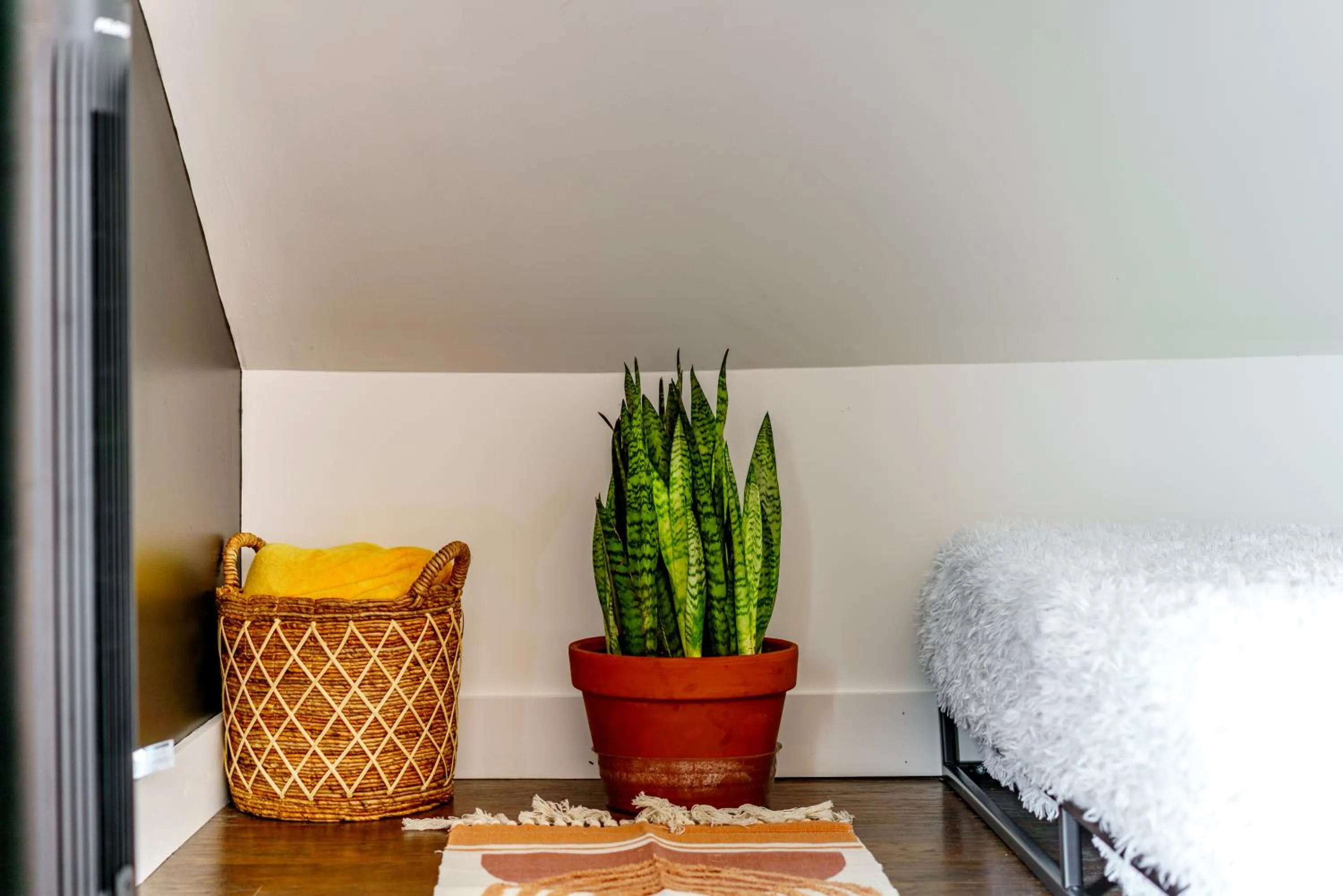 Jungle House Luxury Stays - Downtown Chillicothe