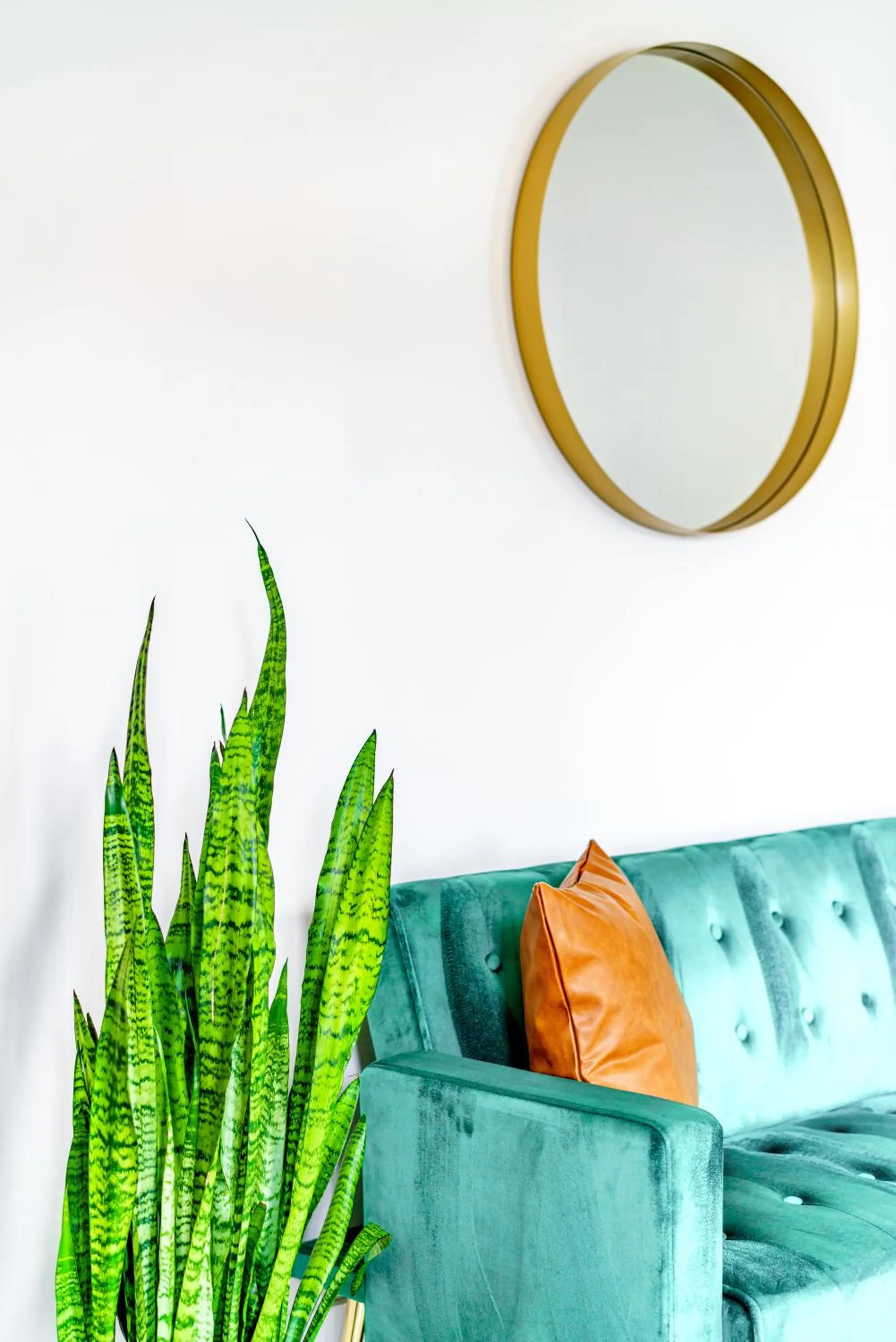 Jungle House Luxury Stays - Downtown Chillicothe