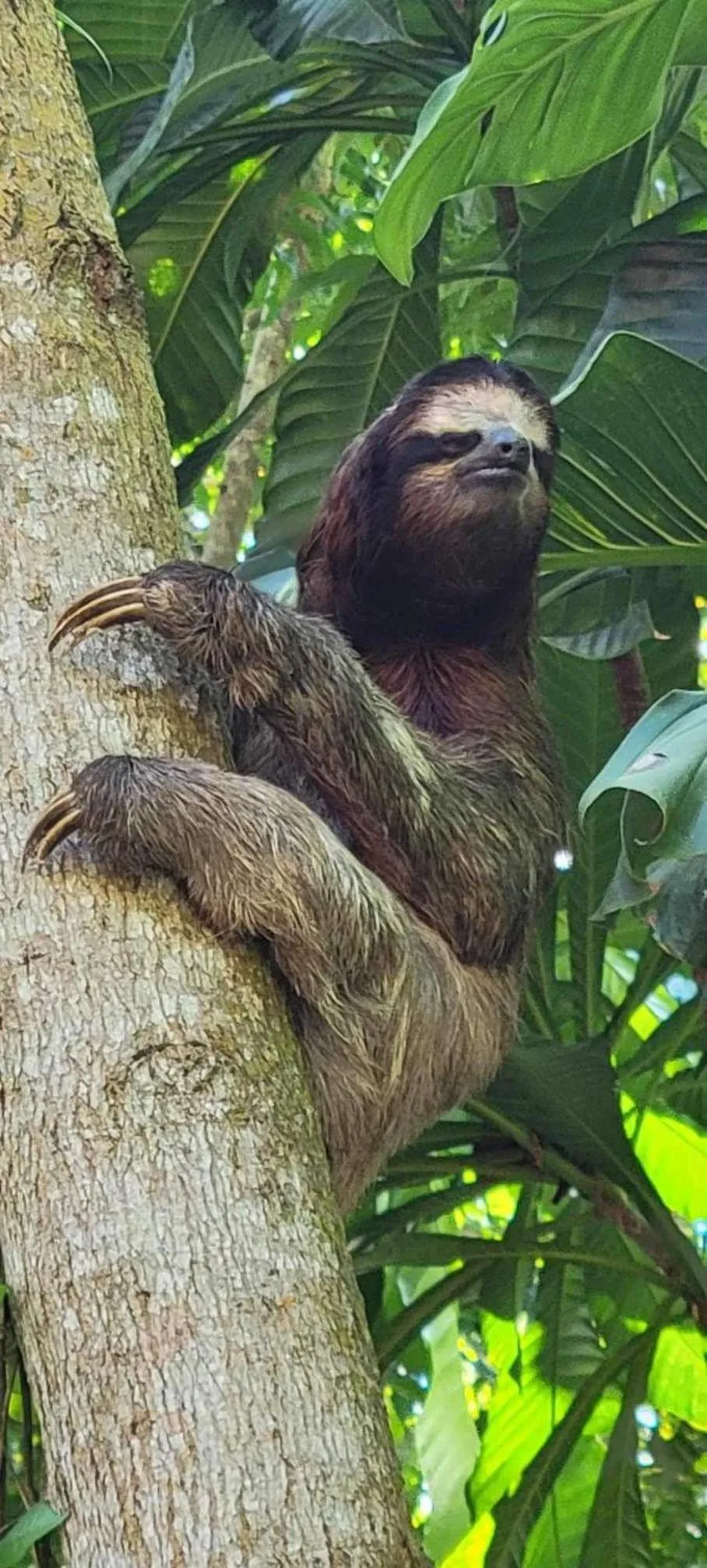 Hotel Tierra Verde Bed and Breakfast