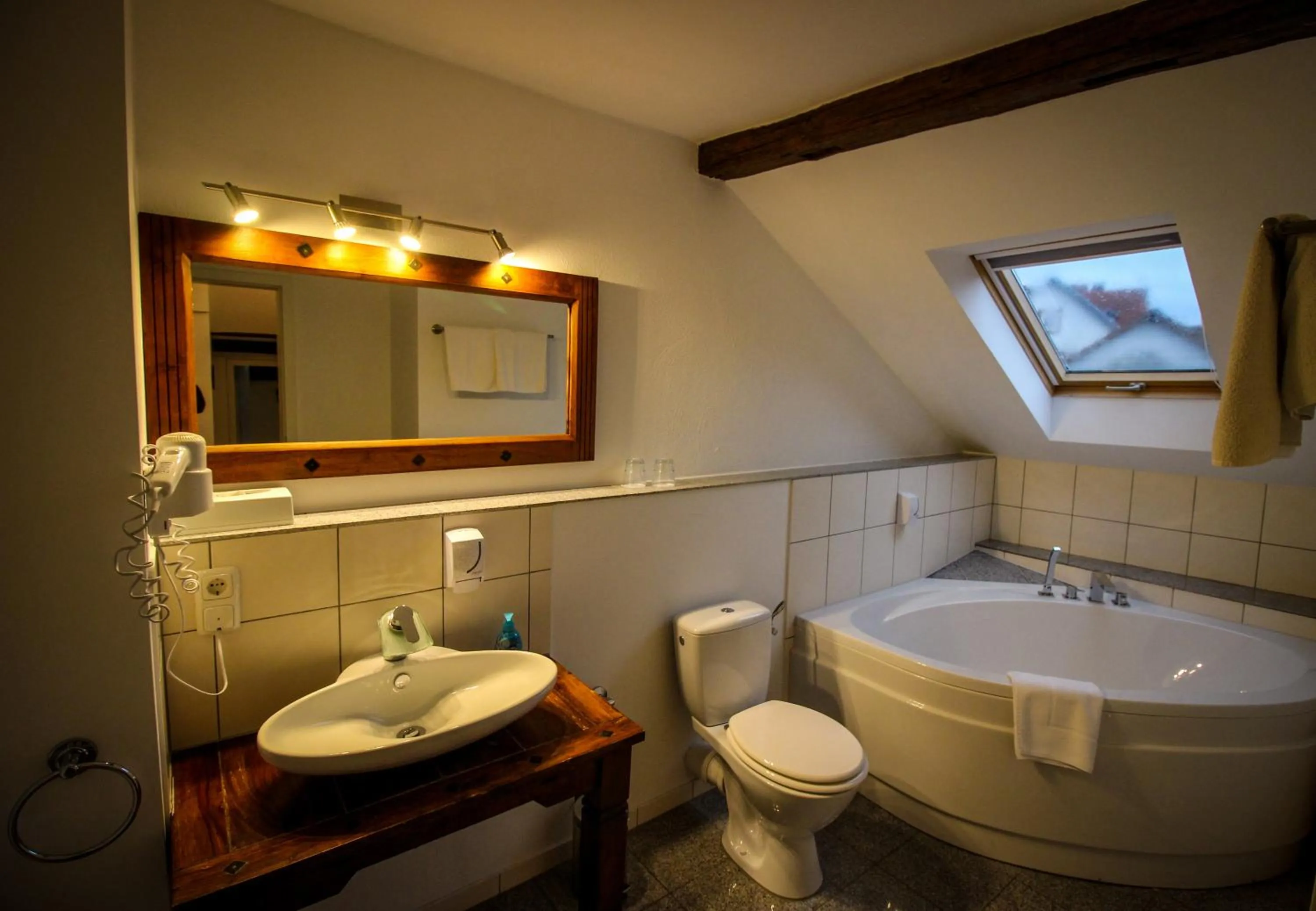 Toilet in Hotel und Restaurant Zum Löwen