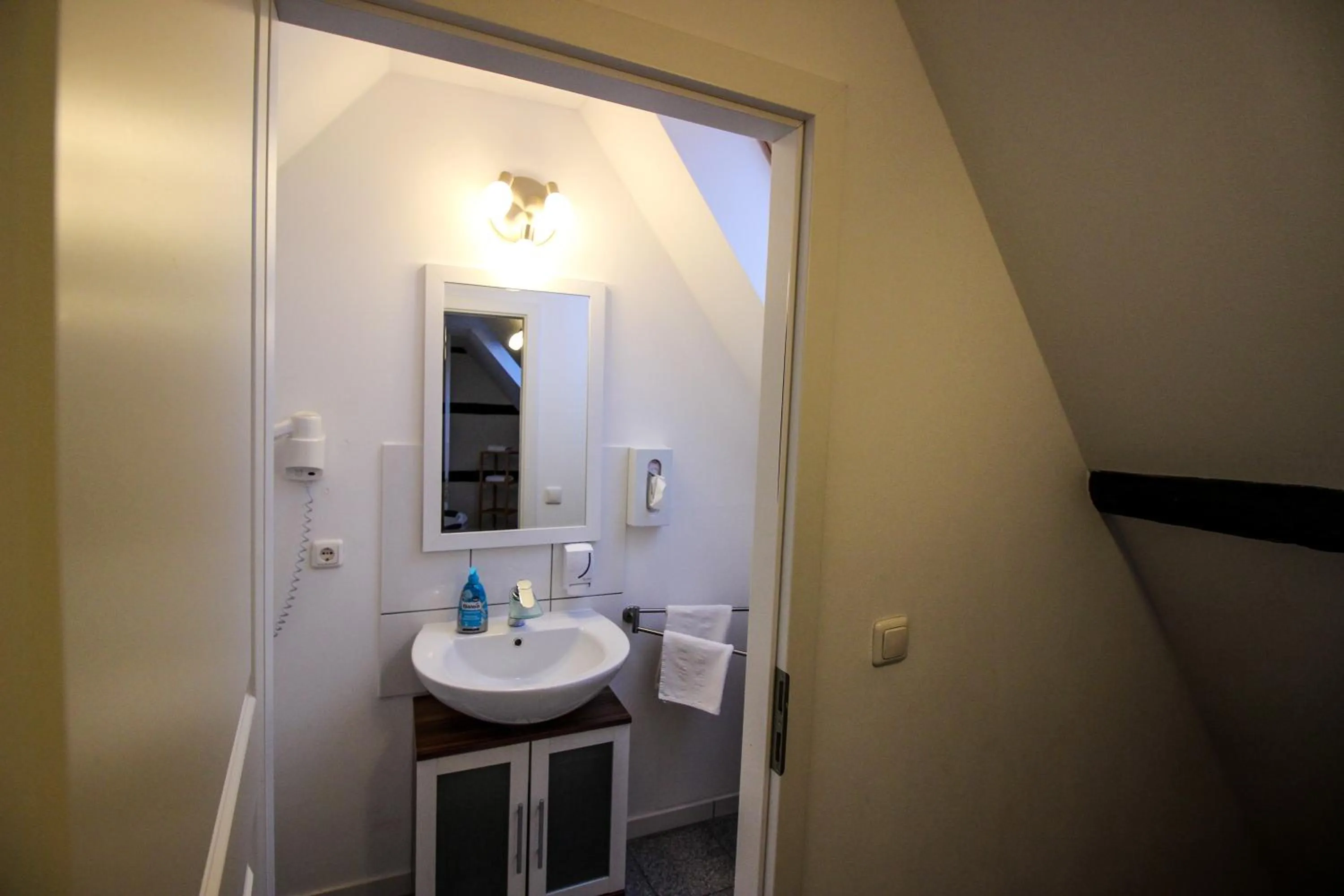 Toilet in Hotel und Restaurant Zum Löwen