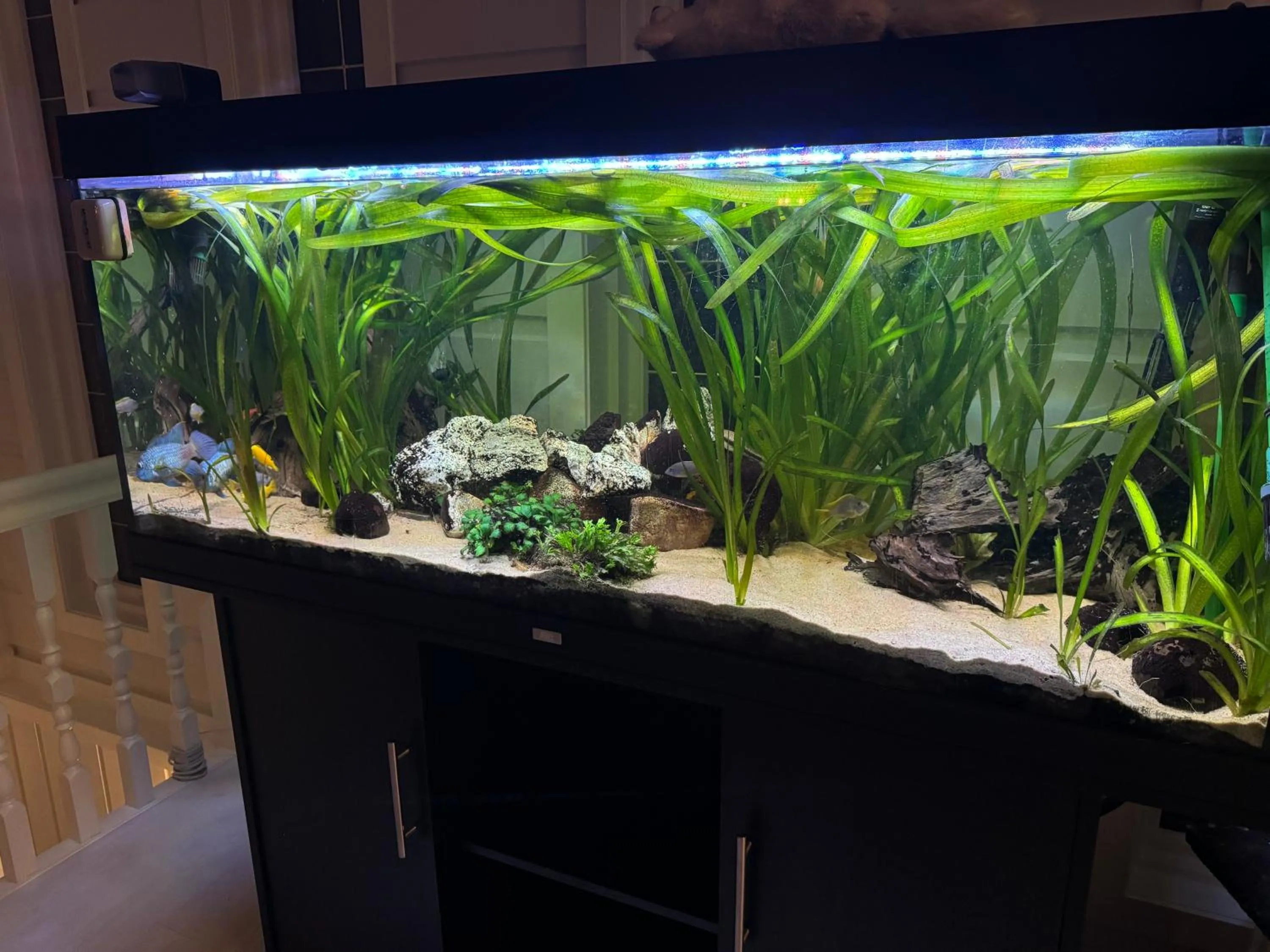 Just Like Home Bed & Spa Porsgrunn