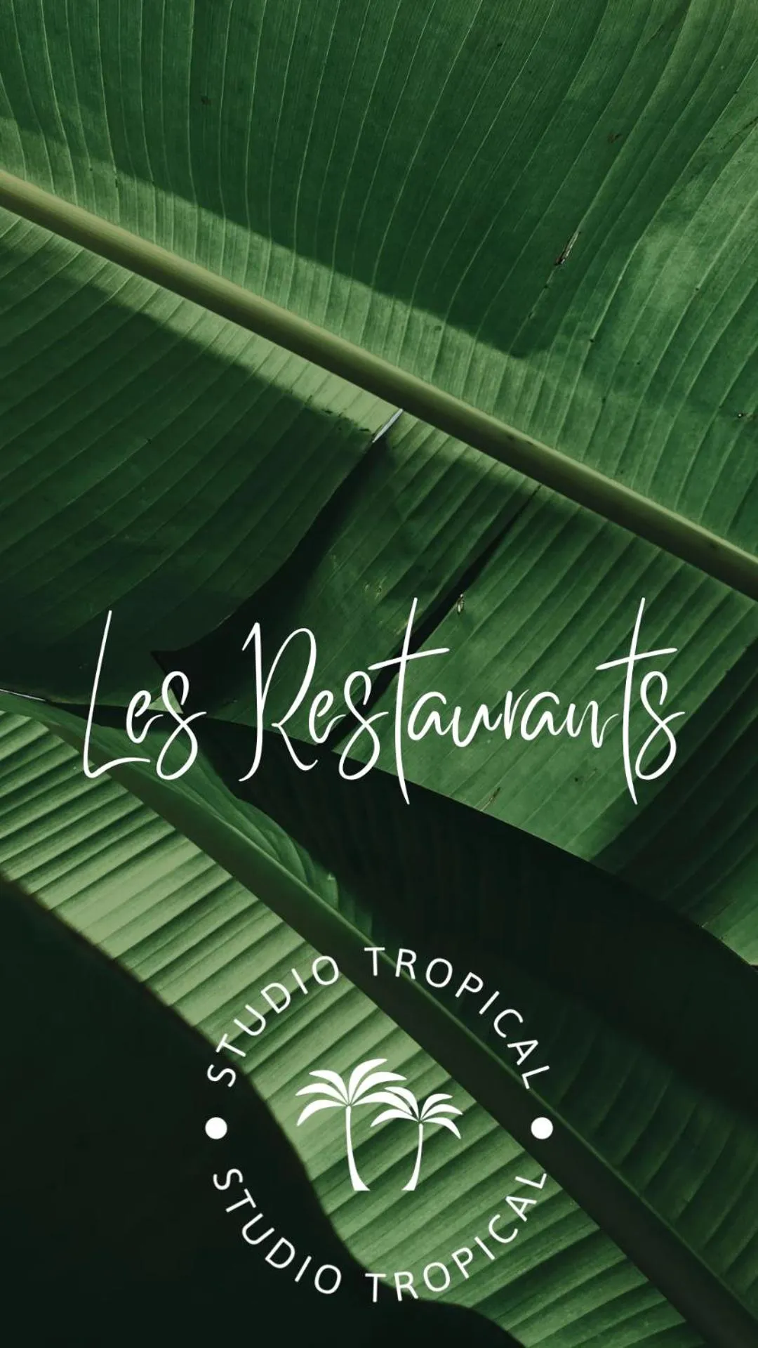 Studio Tropical avec vue mer dans une résidence hôtelière