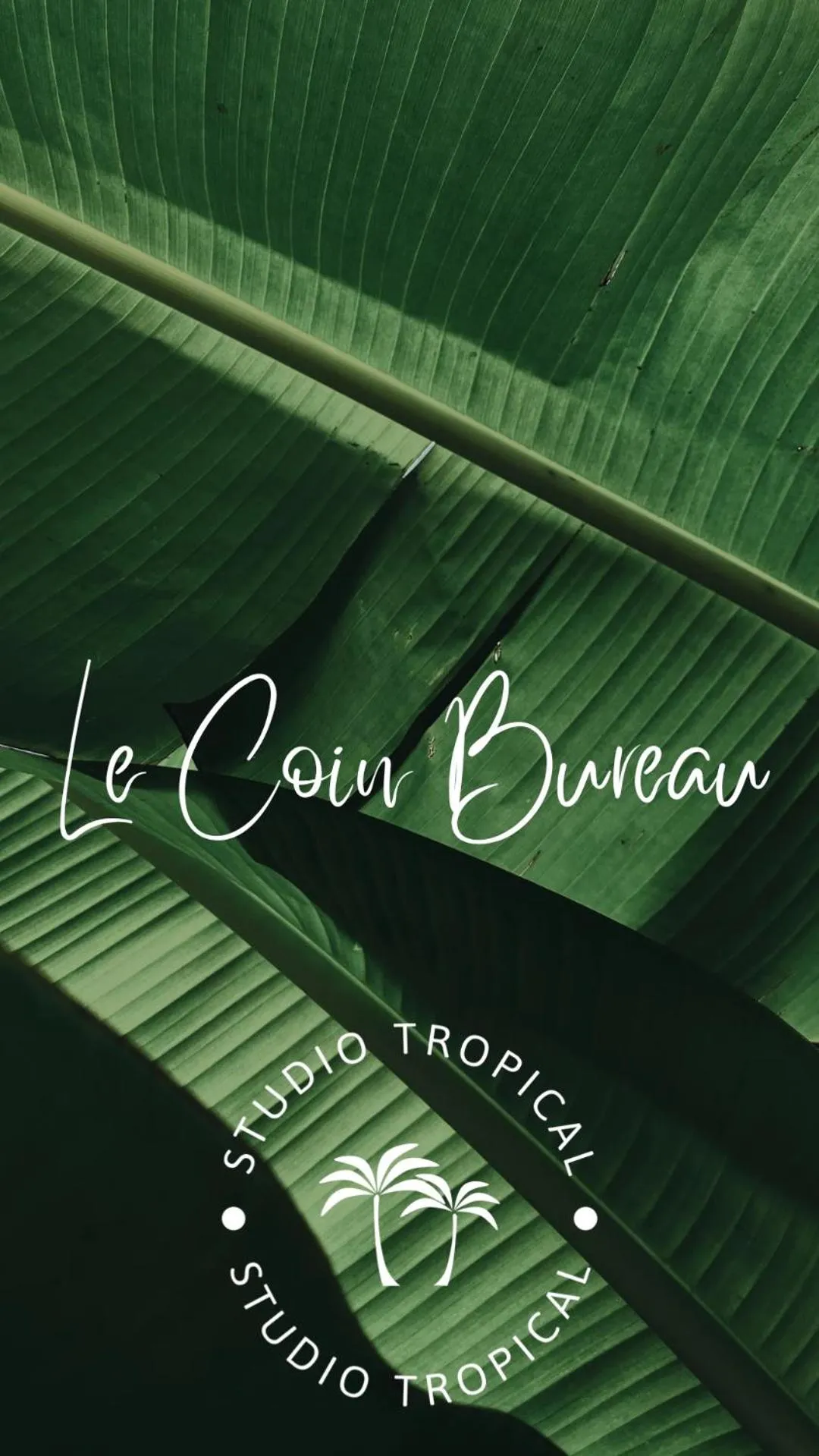 Studio Tropical avec vue mer dans une résidence hôtelière