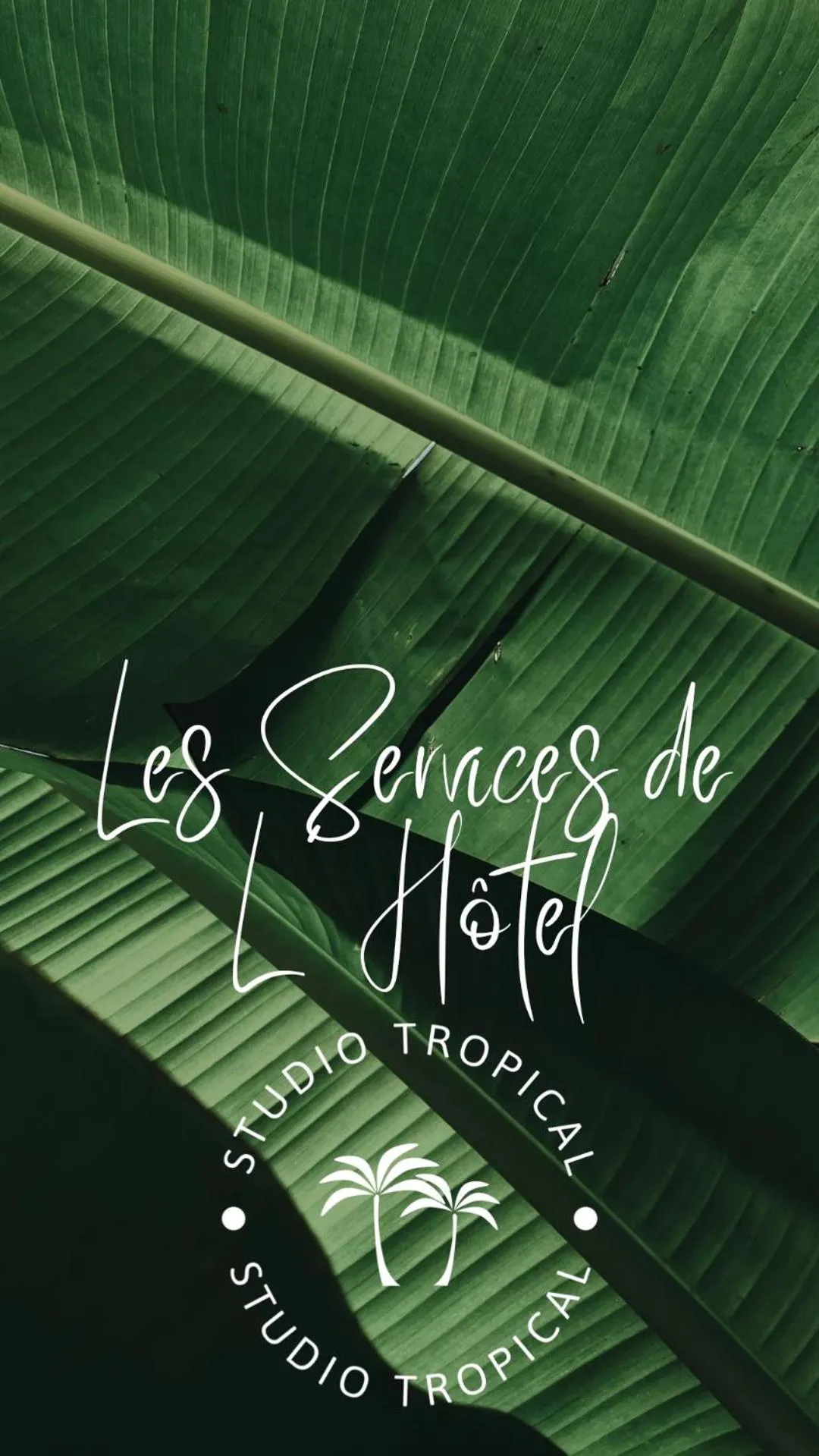 Studio Tropical avec vue mer dans une résidence hôtelière