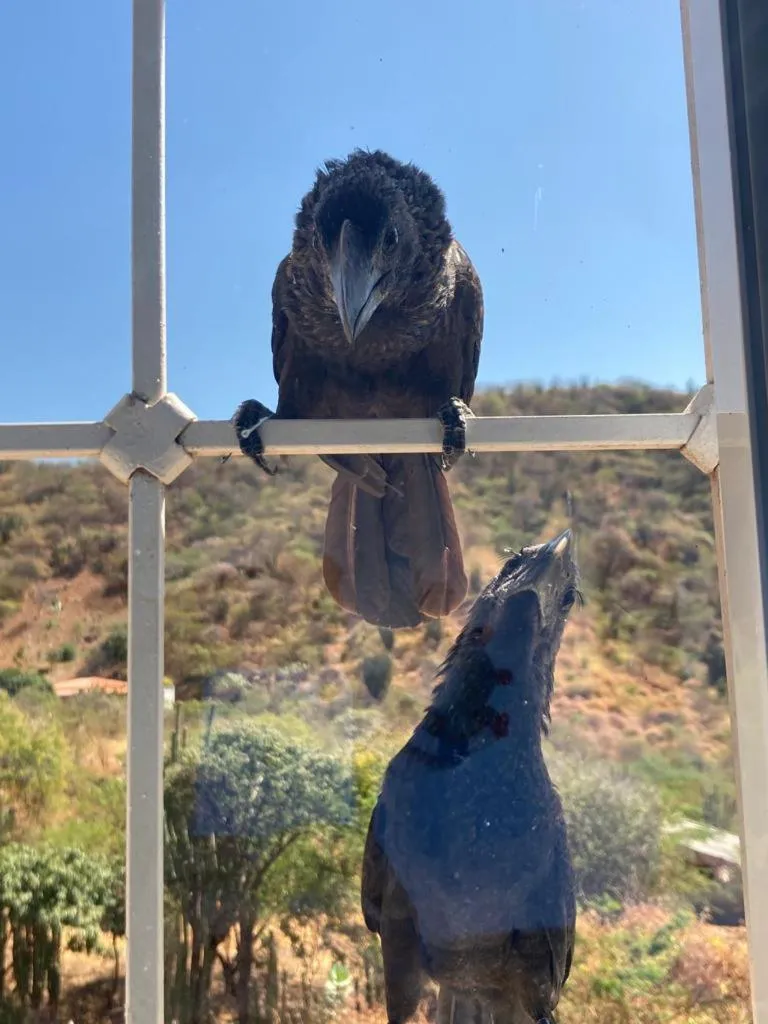 Property building in Paraíso Casa de Playa