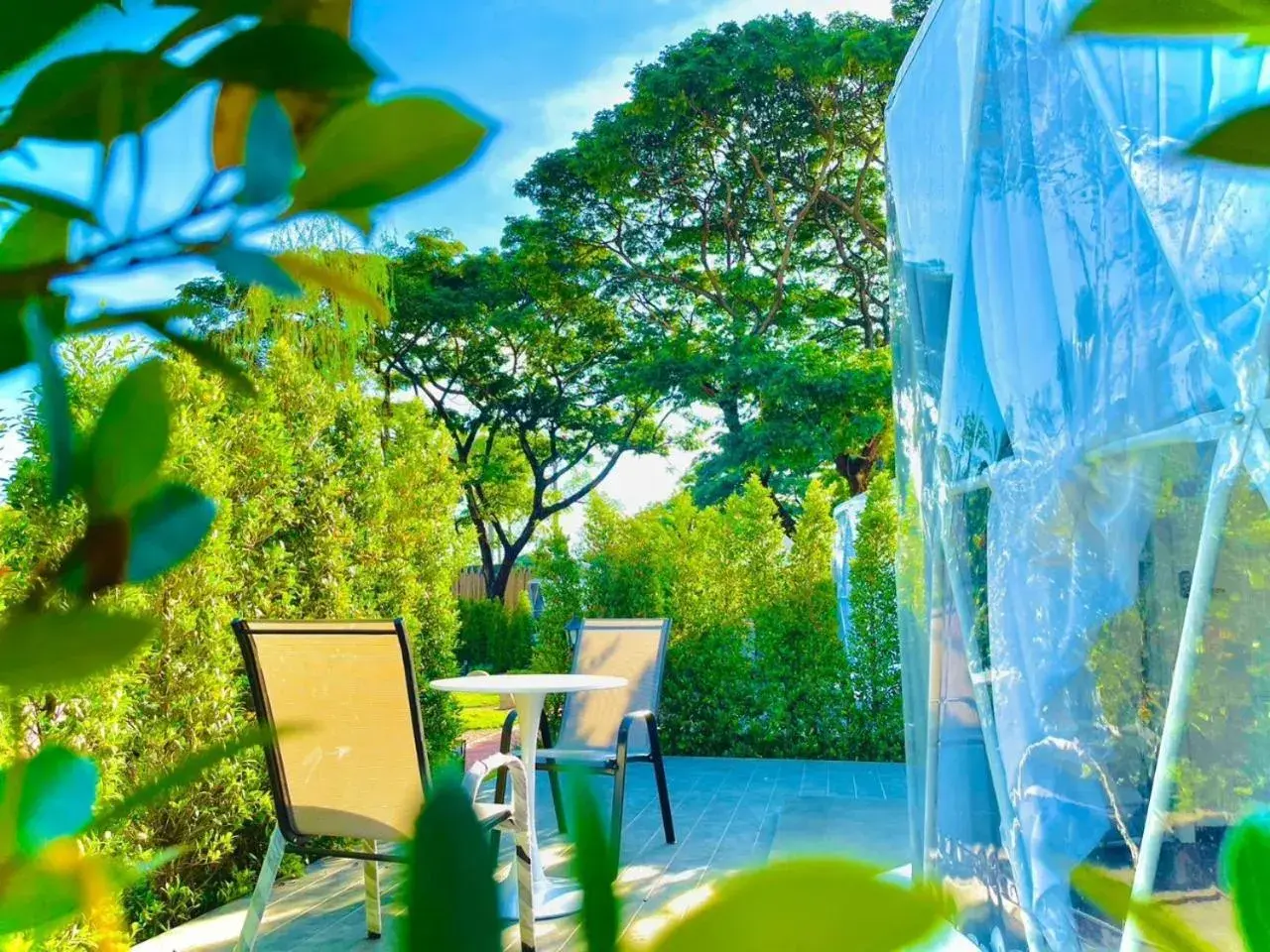 Communal lounge/ TV room in PaPa Q suite Resort Communal lounge/ TV room in PaPa Q suite Resort