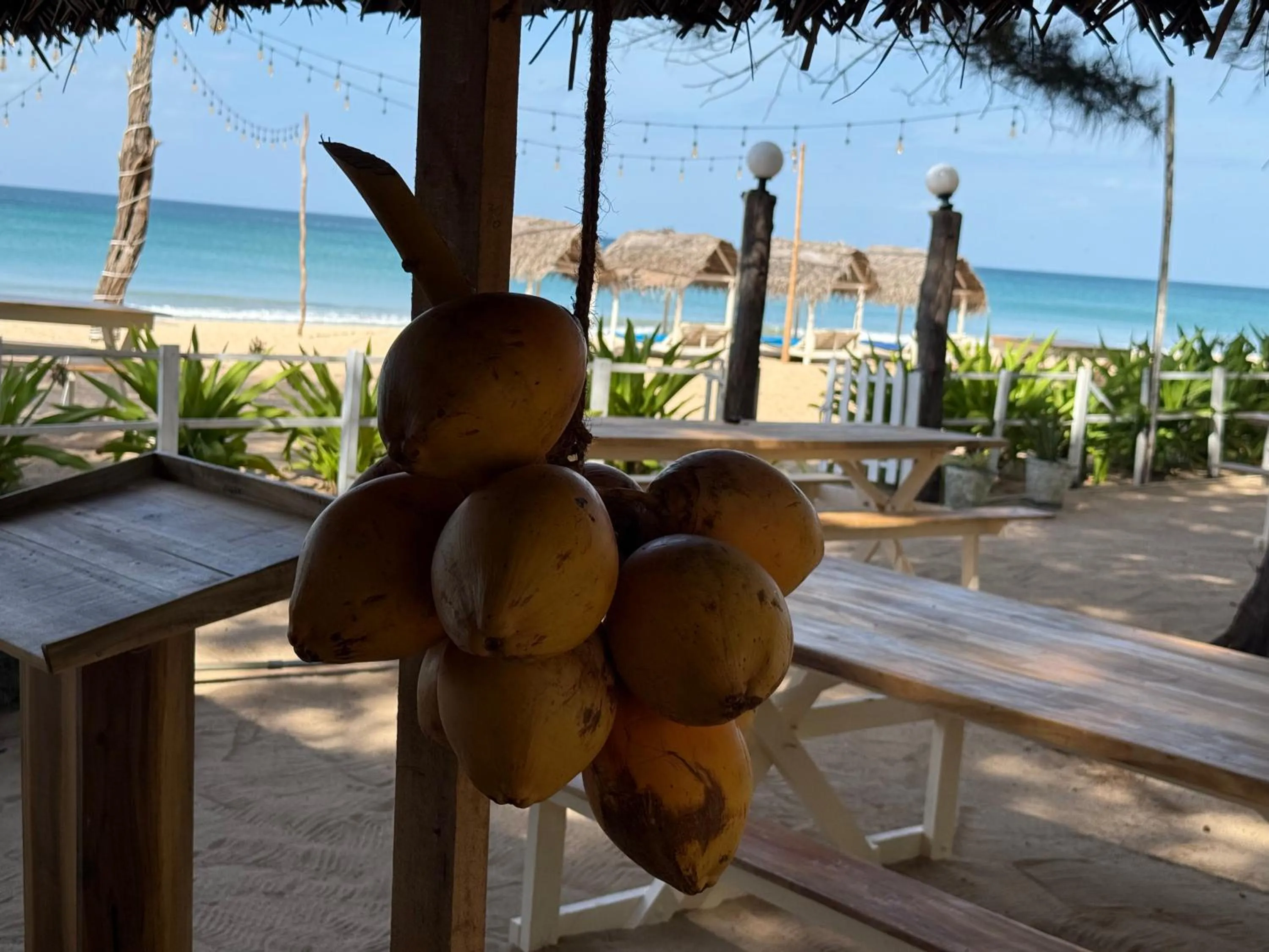 Sea view in Hotel Coral Bay