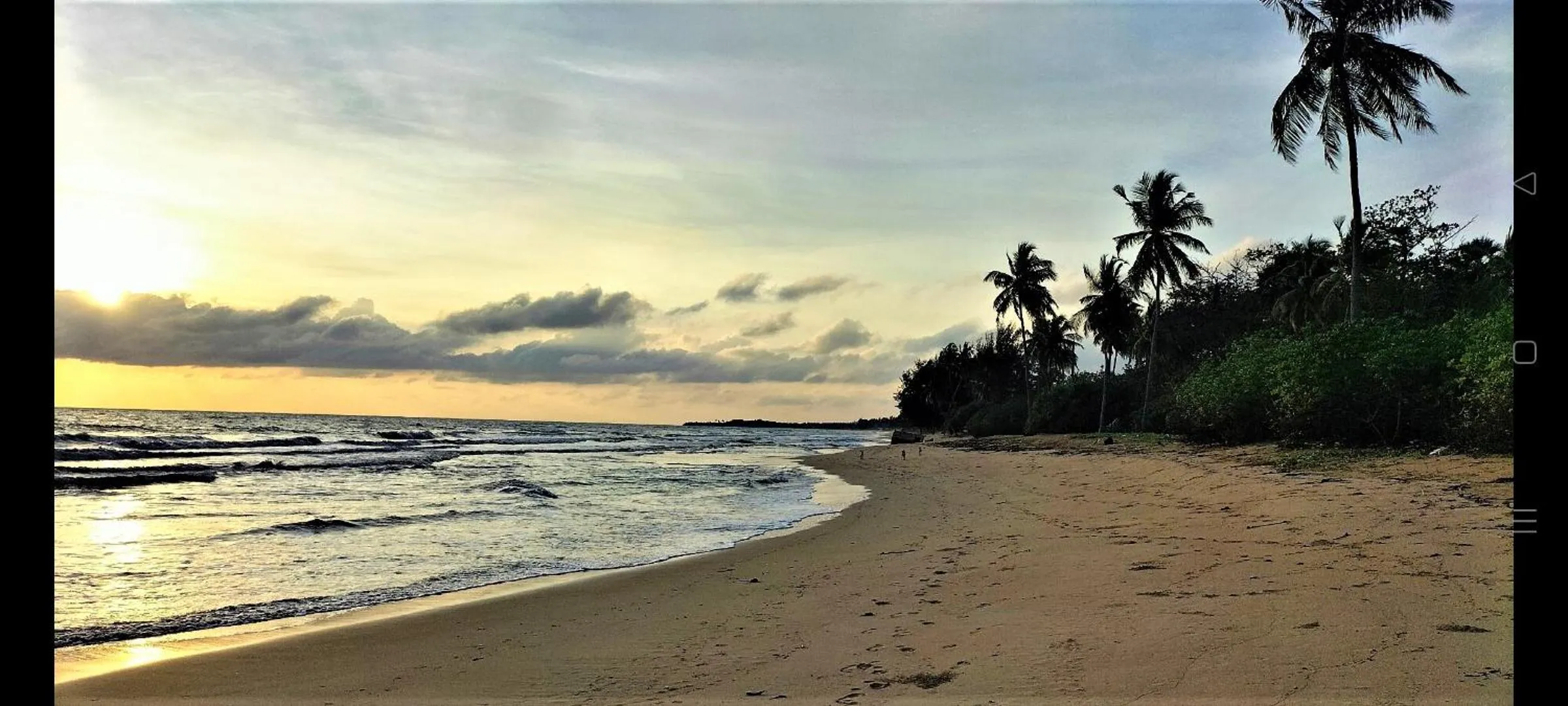Beach in Hotel Coral Bay
