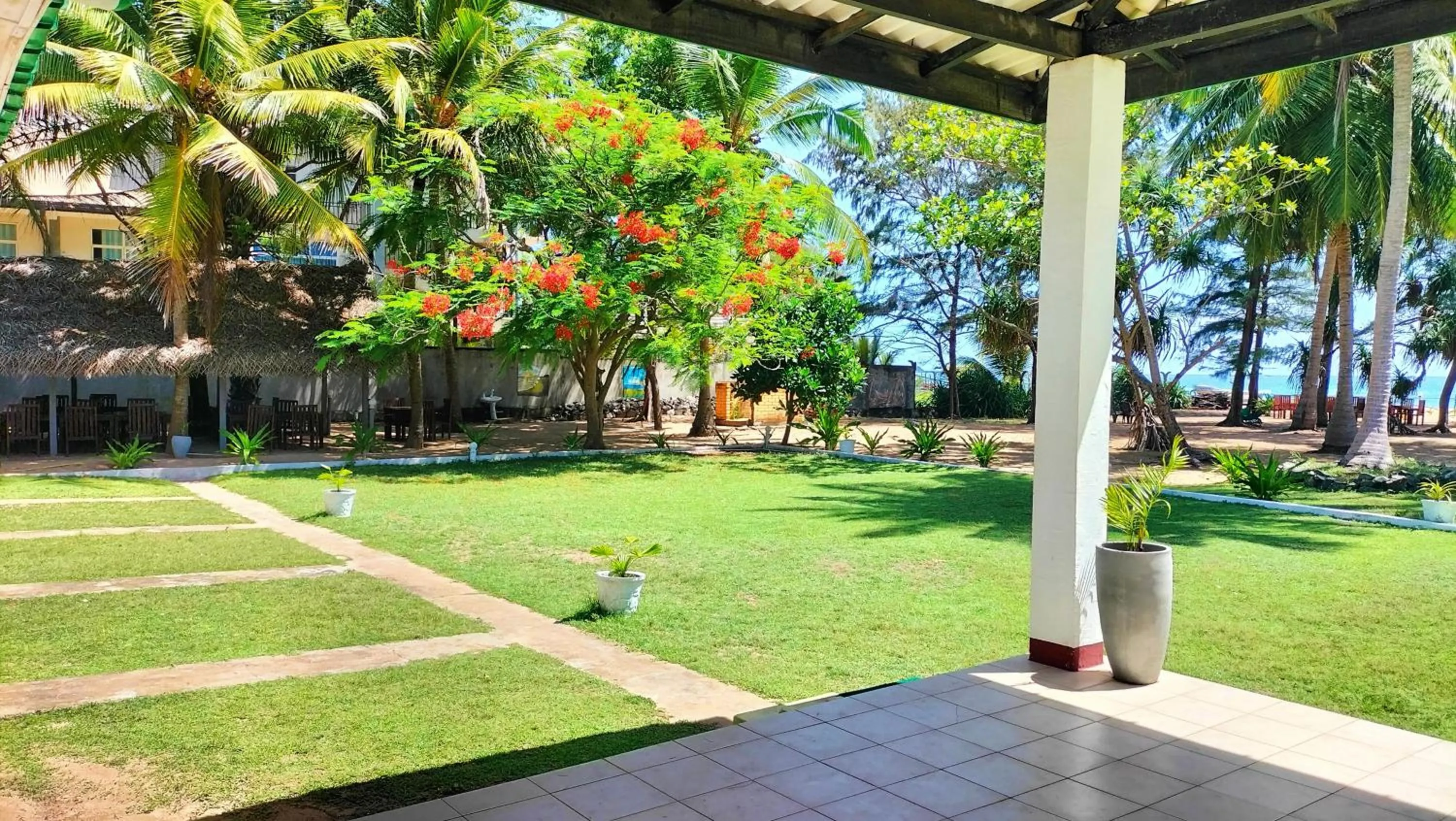 Garden view in Hotel Coral Bay