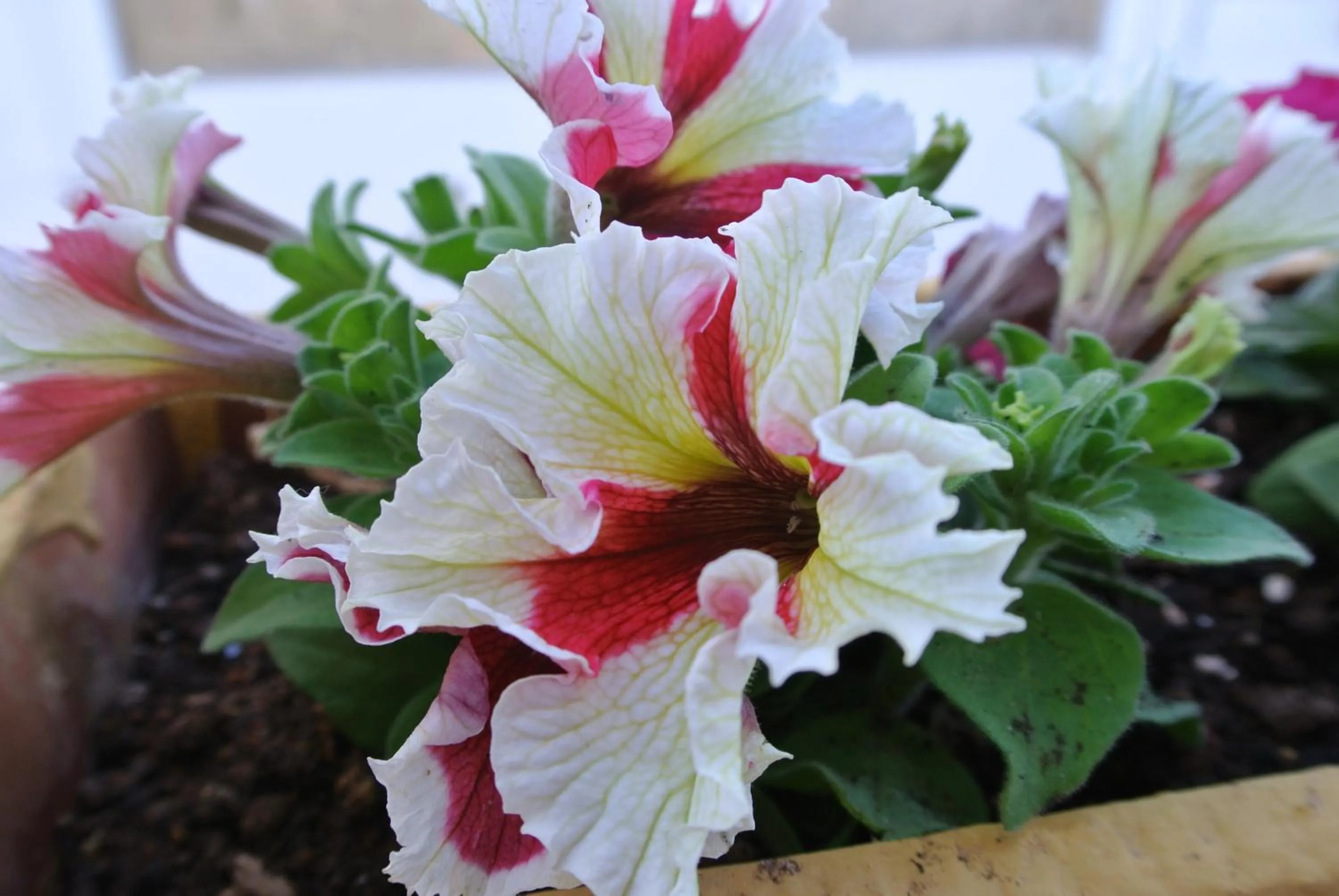 Other in Hotel Boutique Las Arenas