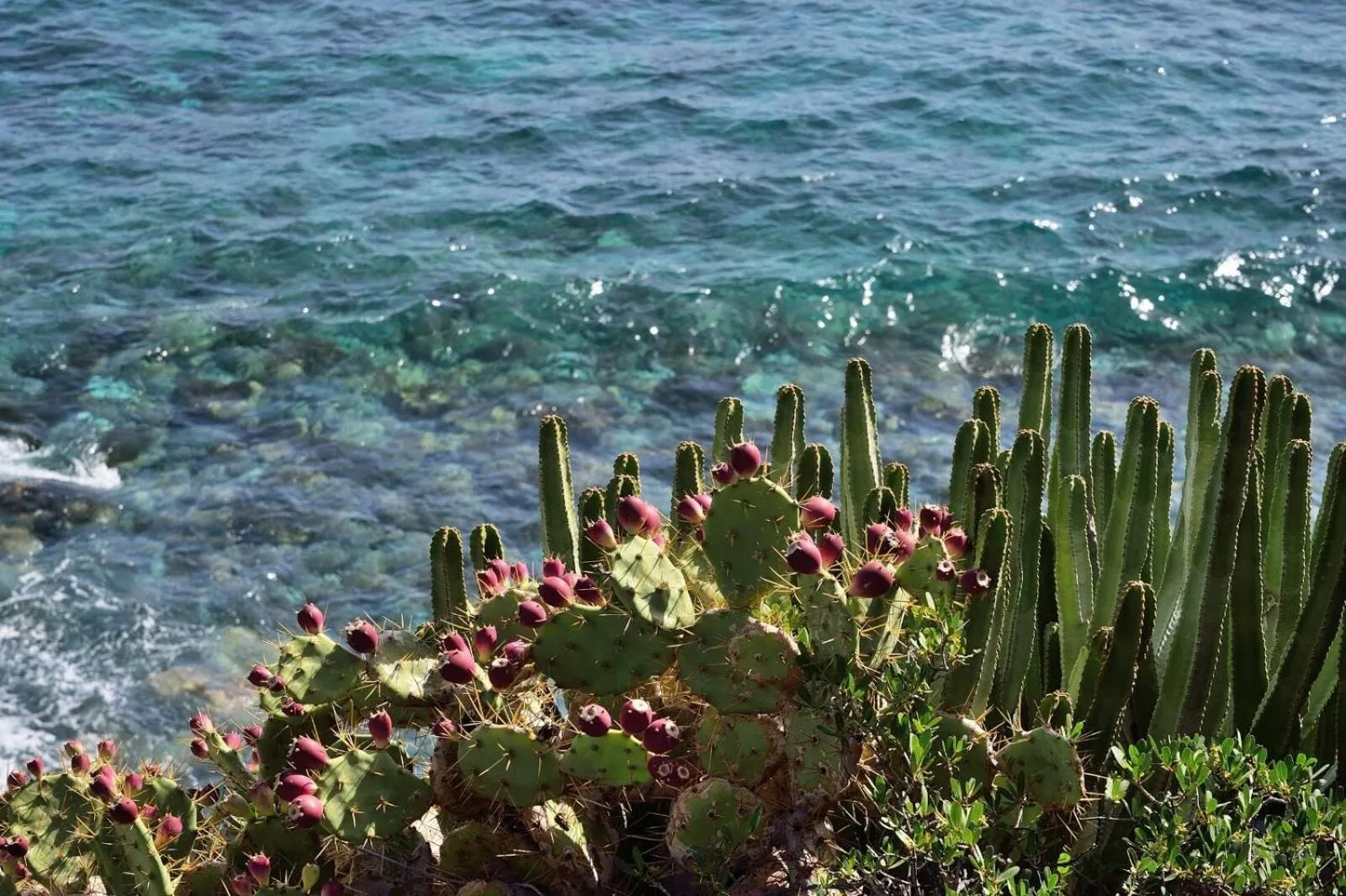 Aparthotel El Cerrito