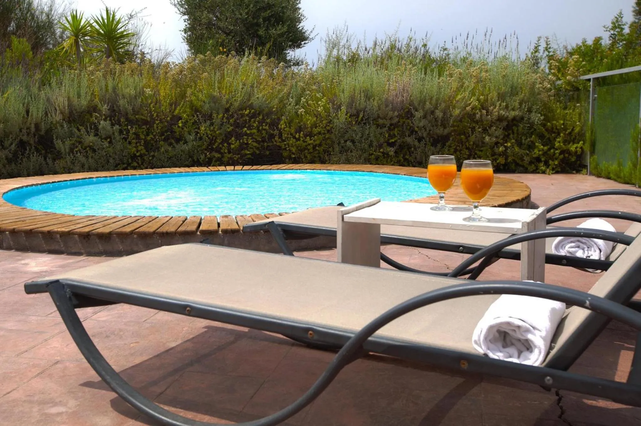 Day in Thalassa Hotel