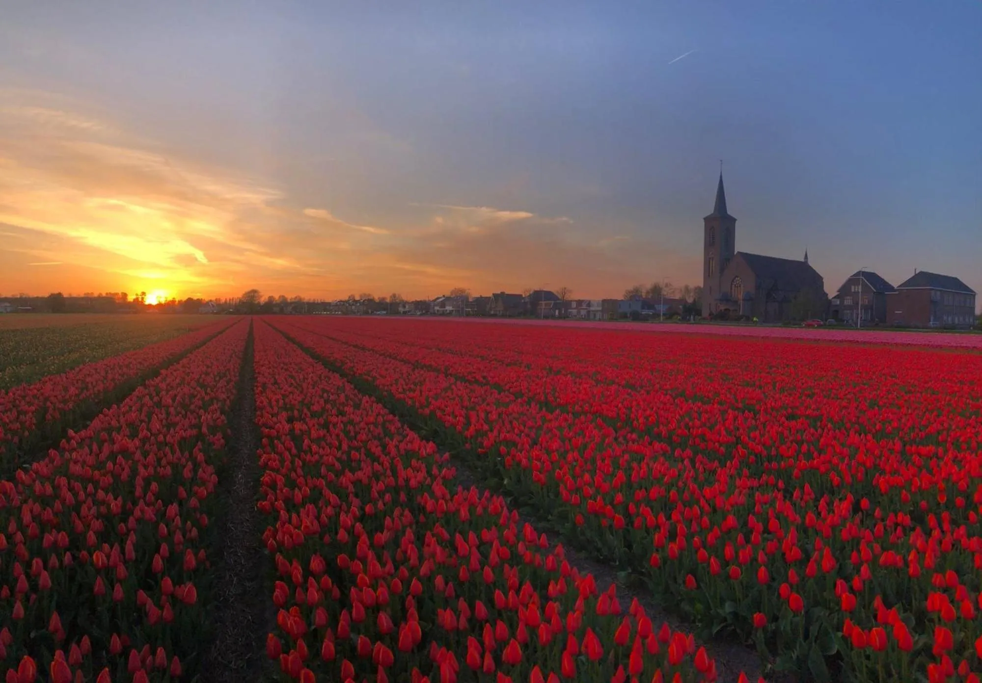 Bed and Breakfast Geliefd