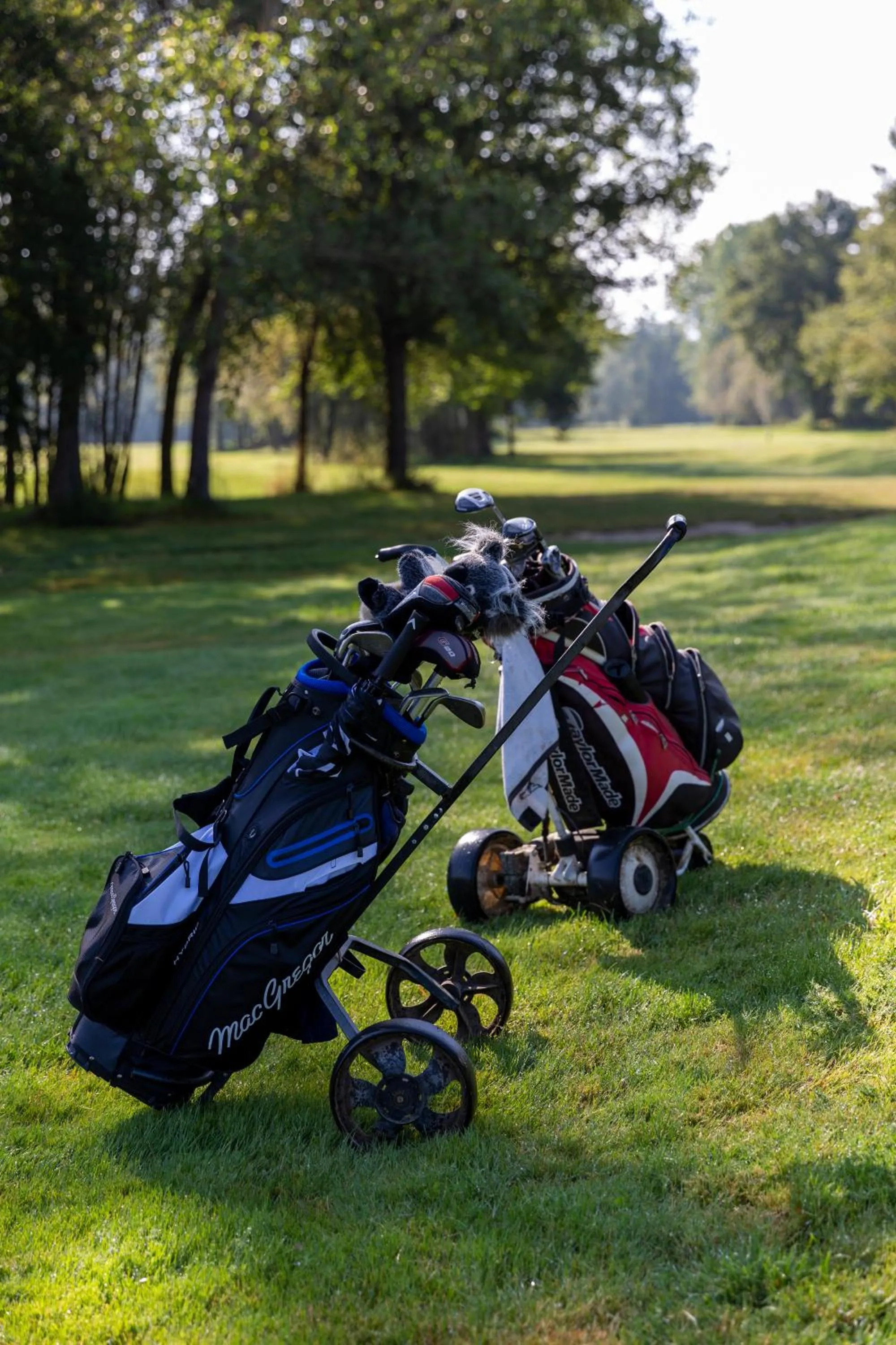 Natural landscape in IBERIK Augas Santas Balneario & Golf