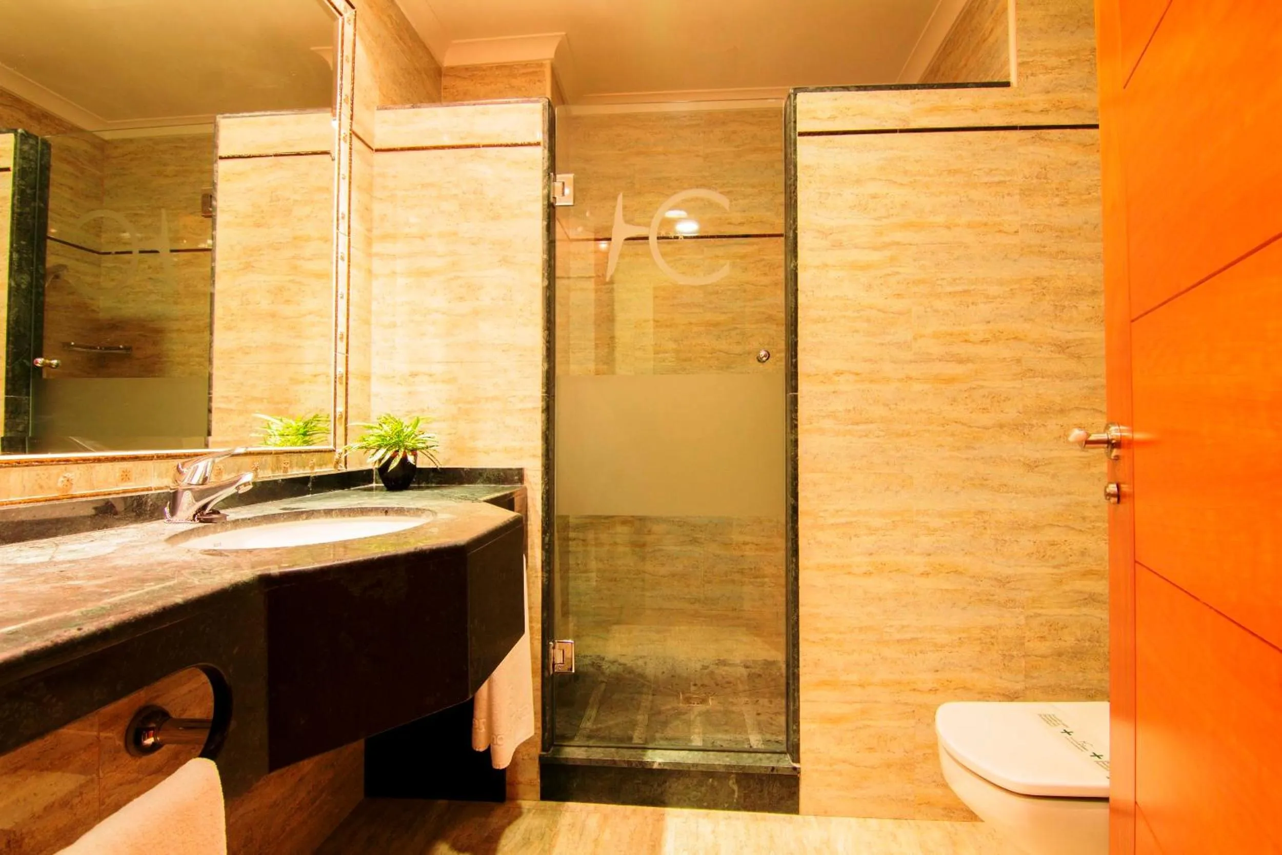 Shower in Hotel Carmen