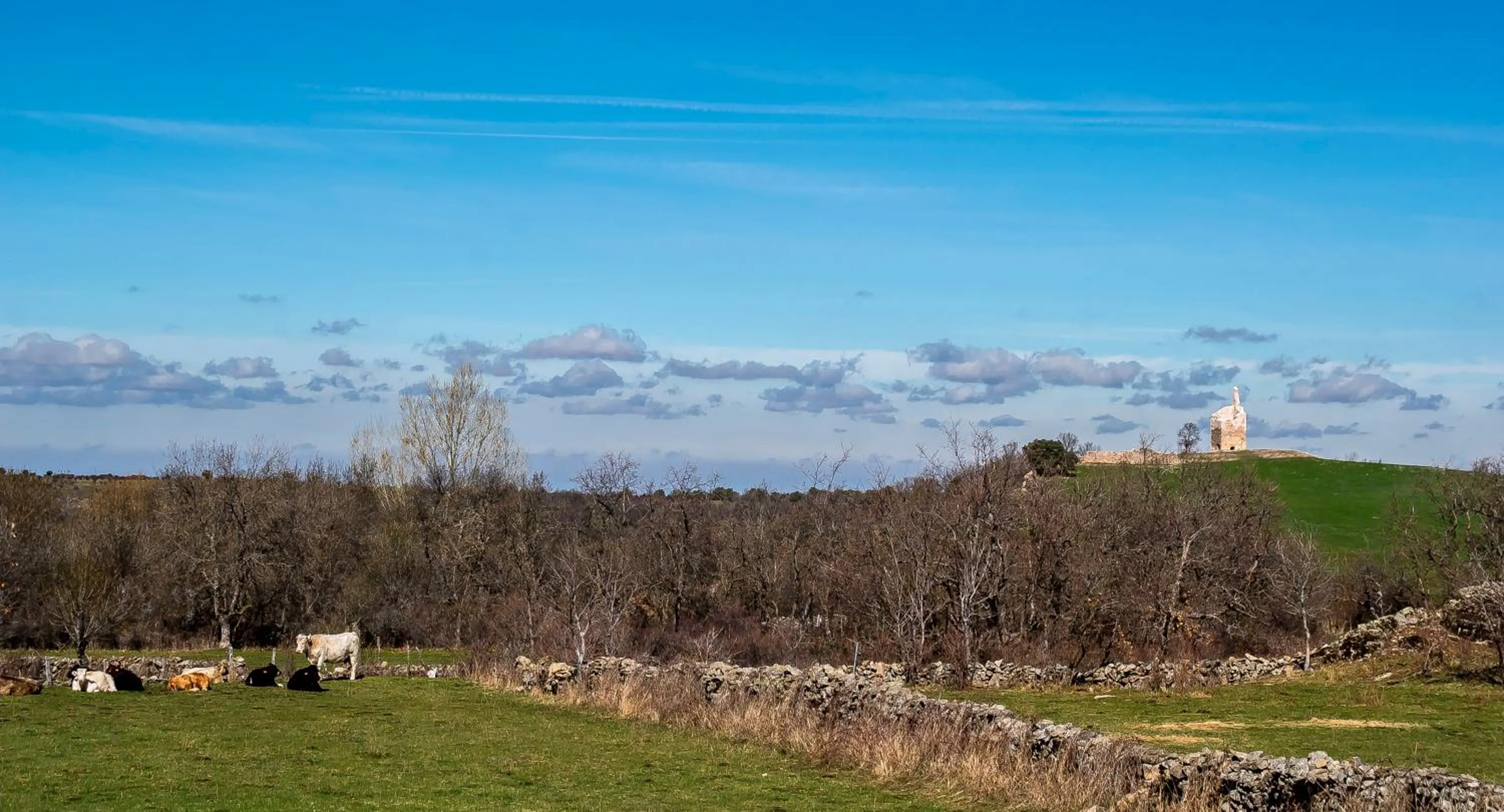 Natural landscape in Hotel Rural La Data