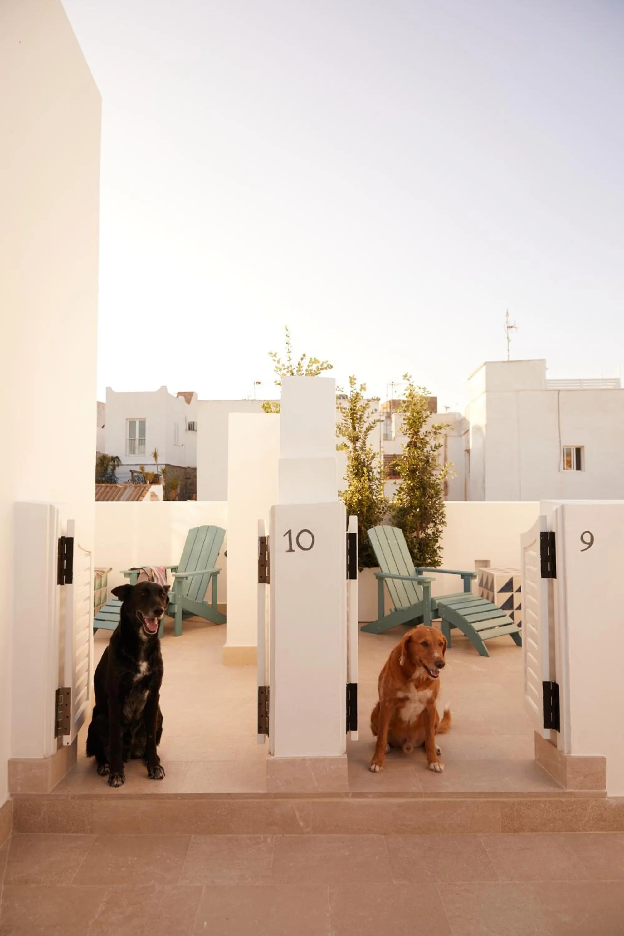 Pets in El Escondite Tarifa