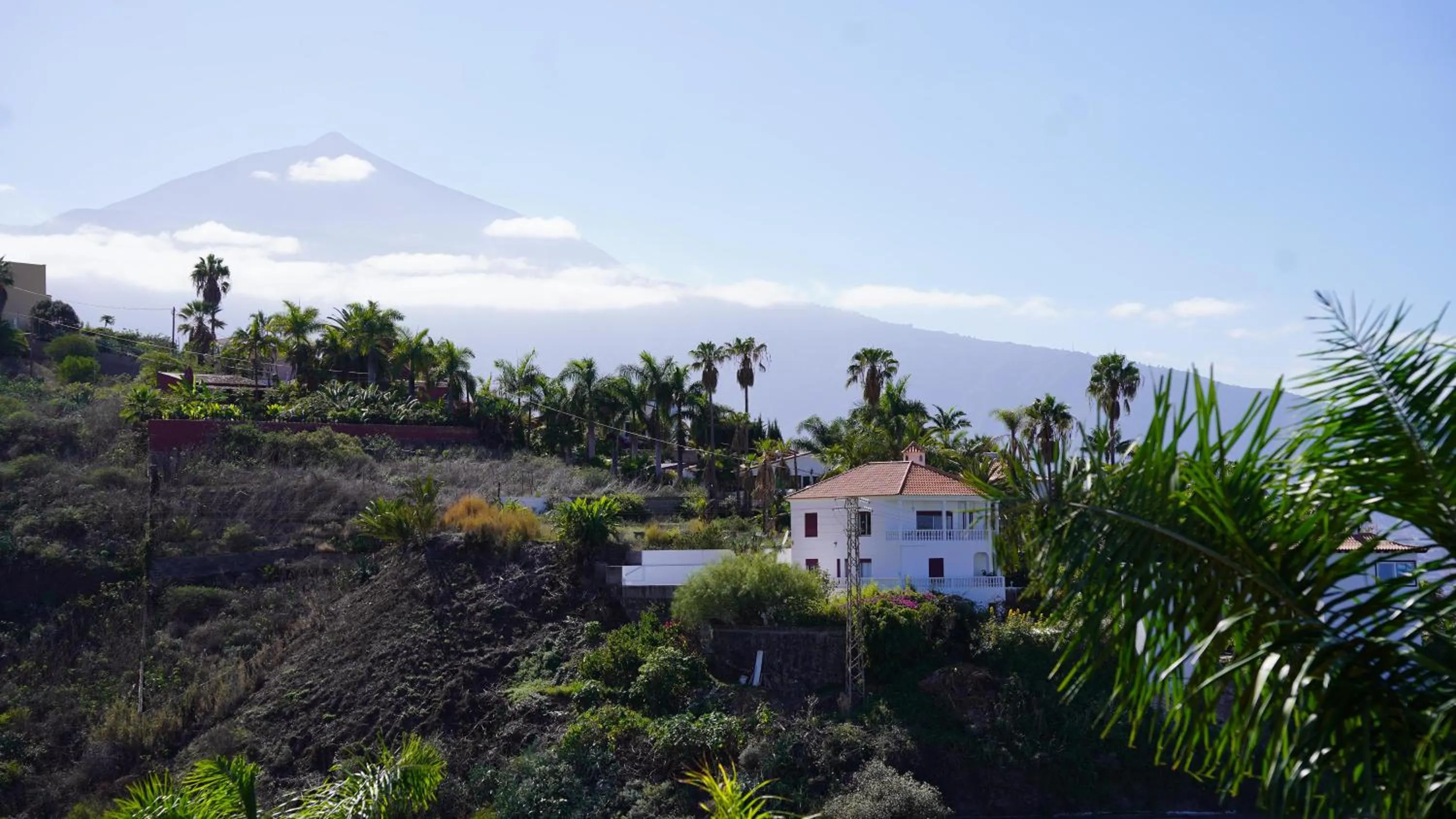 Natural landscape in Coral La Quinta Park Suites