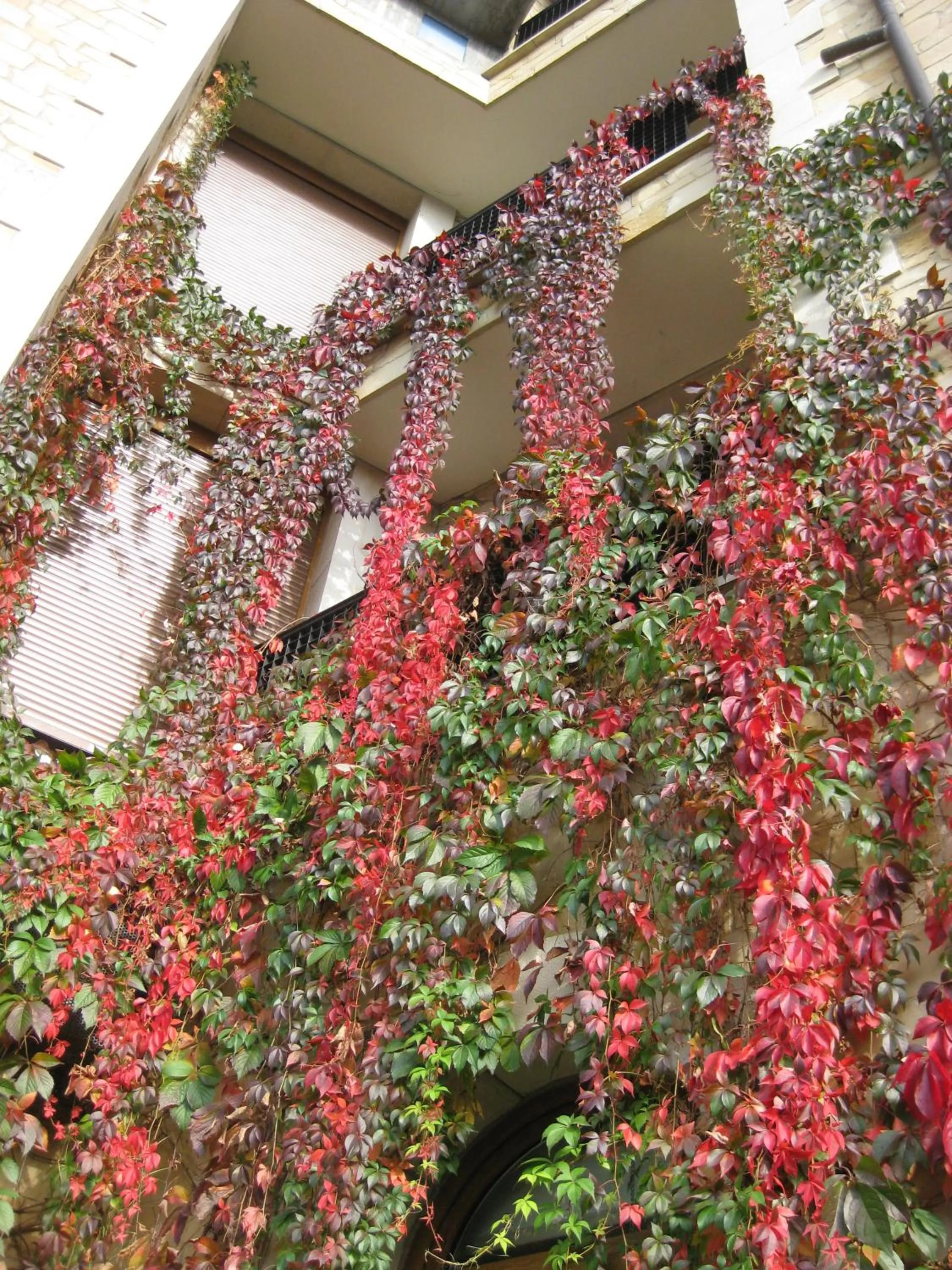 Balcony/Terrace in Los Acebos Arriondas