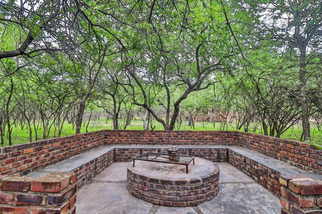 Natural landscape in Kruger Escape - Solar System