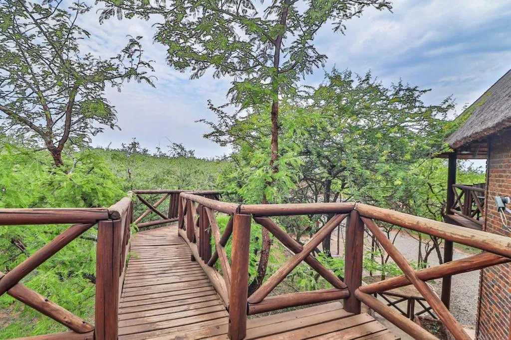 Natural landscape in Kruger Escape - Solar System