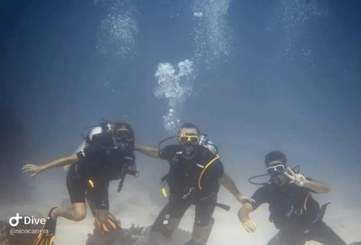 Natural landscape in Rote Surf Resort - Lualemba Bungalows