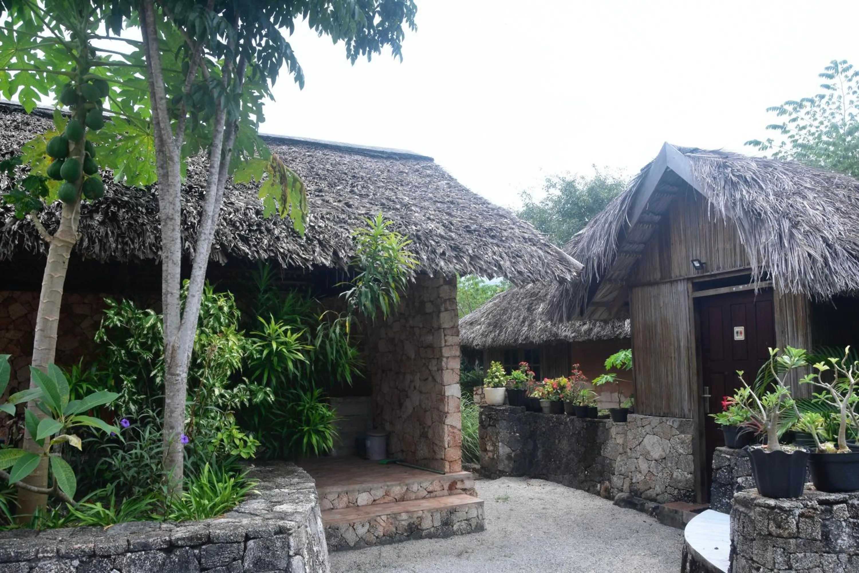 Property building in Rote Surf Resort - Lualemba Bungalows