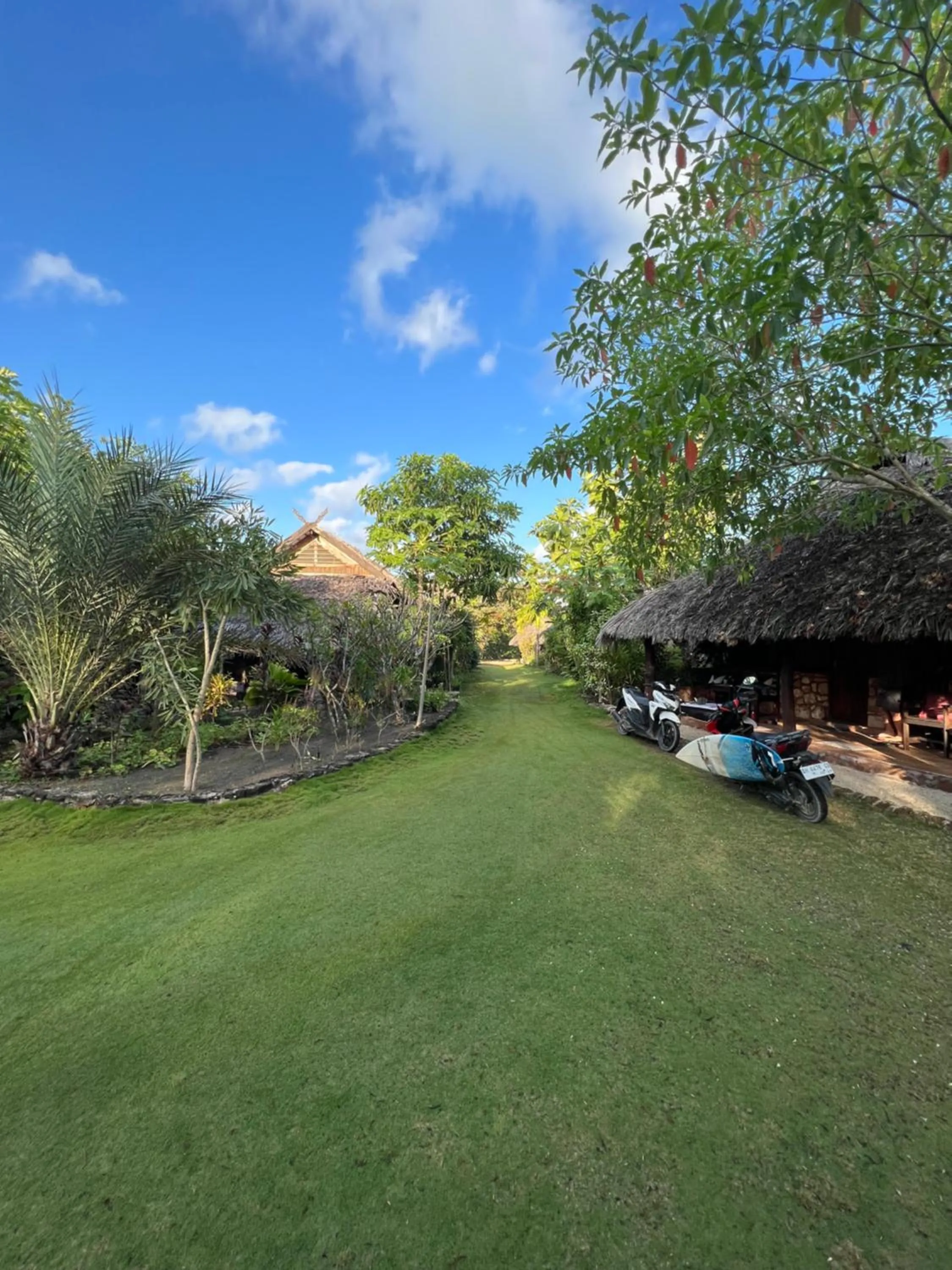 Natural landscape in Rote Surf Resort - Lualemba Bungalows