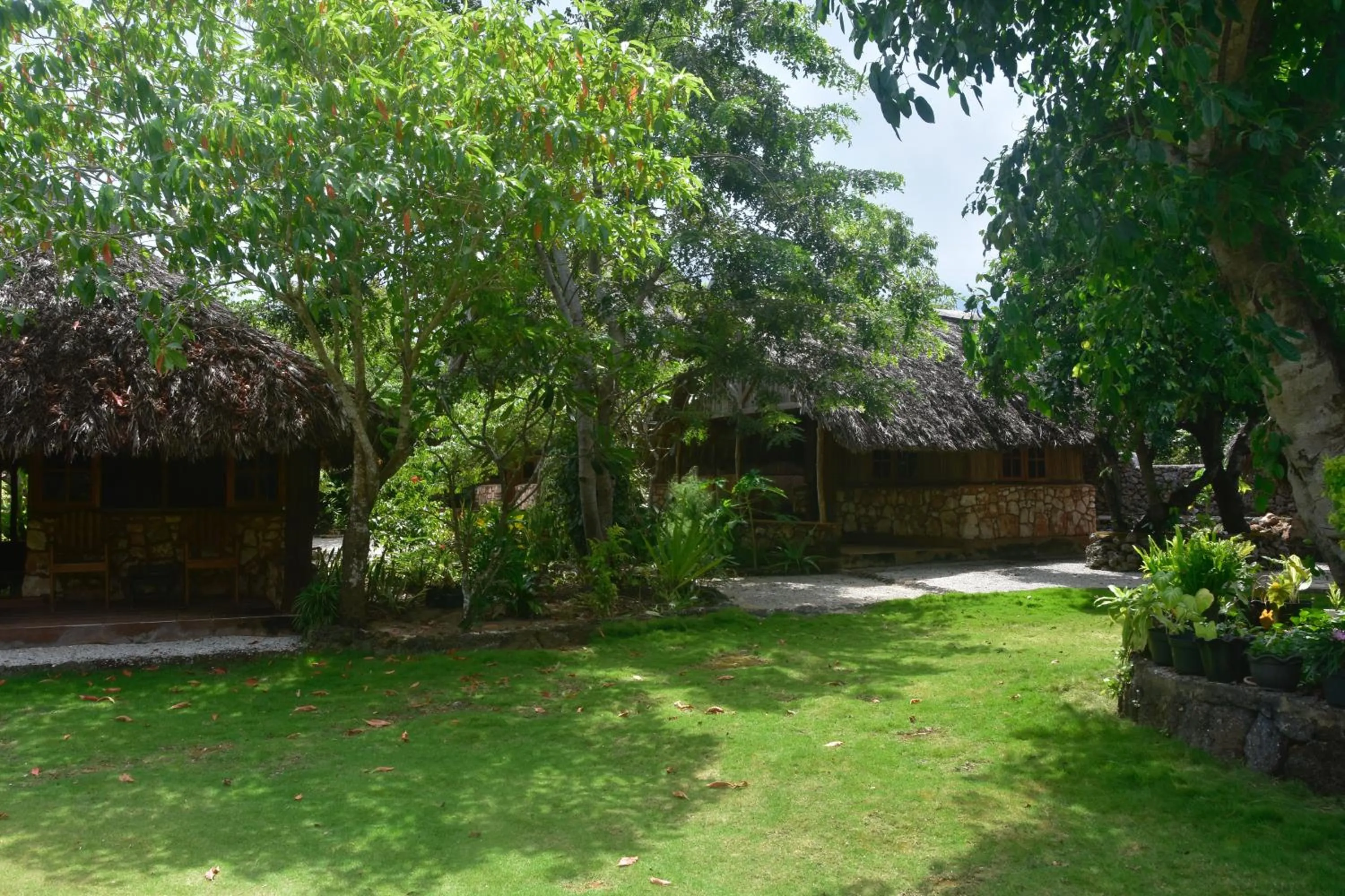 Natural landscape in Rote Surf Resort - Lualemba Bungalows