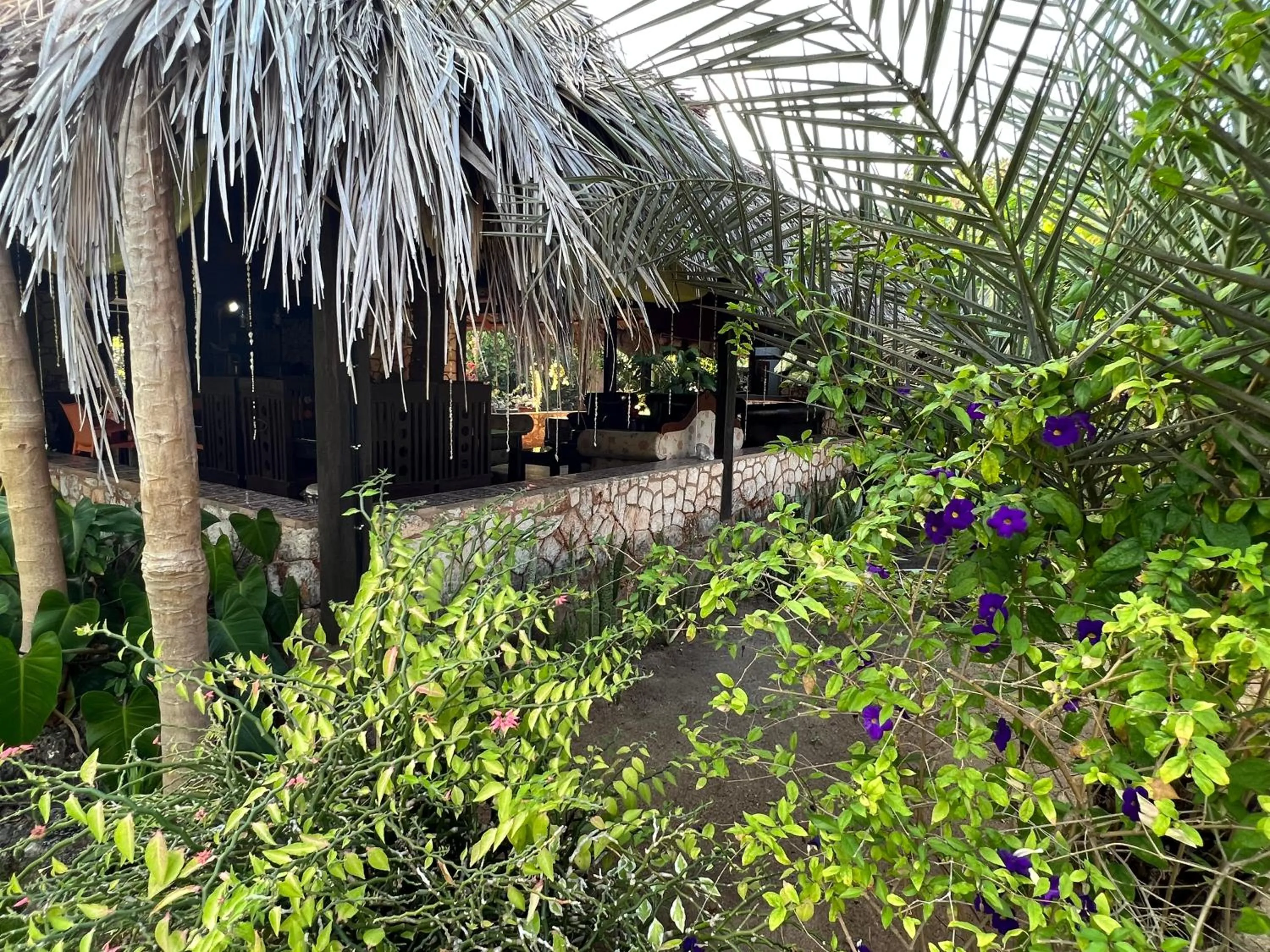 Property building in Rote Surf Resort - Lualemba Bungalows