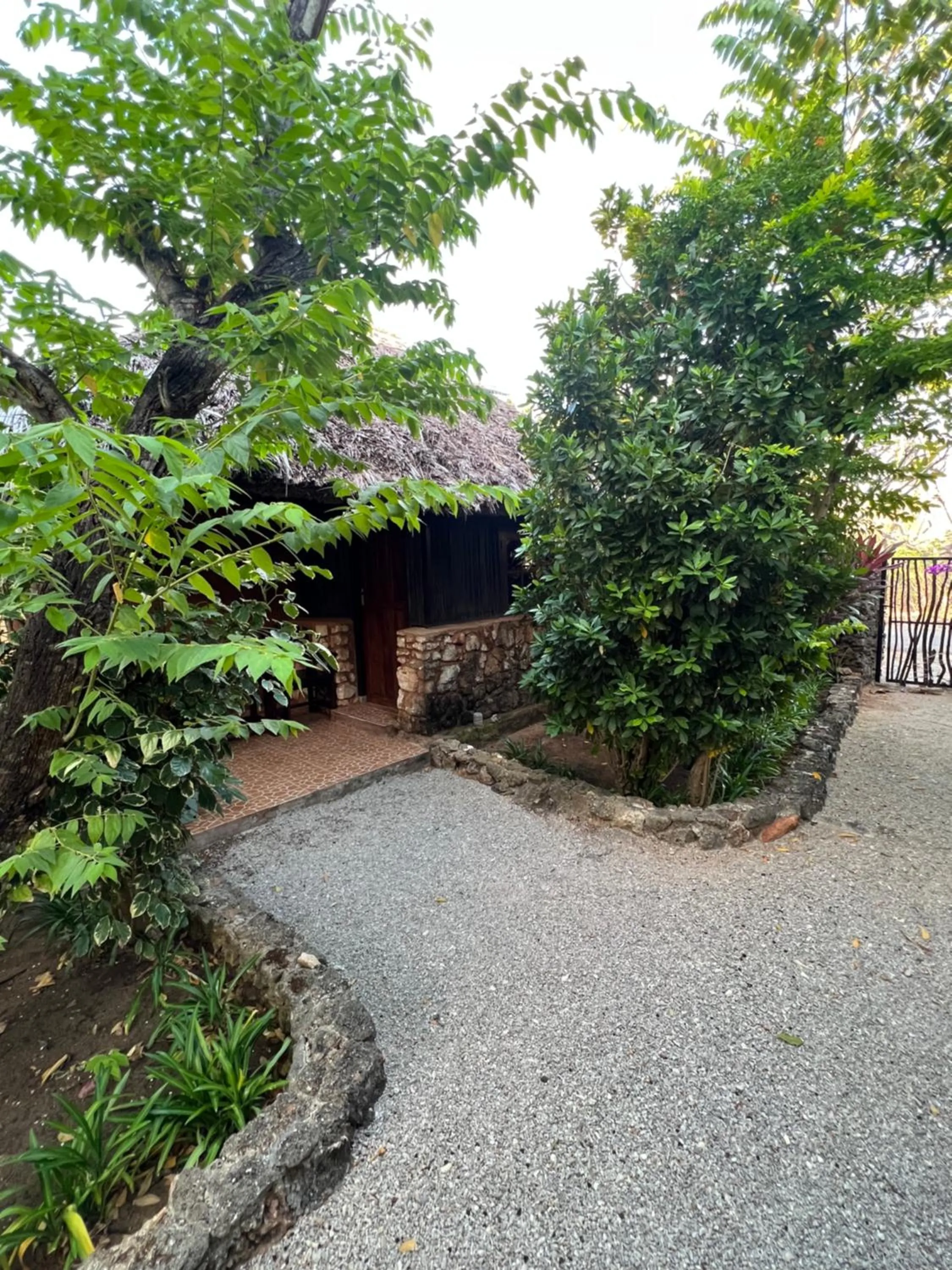 Natural landscape in Rote Surf Resort - Lualemba Bungalows