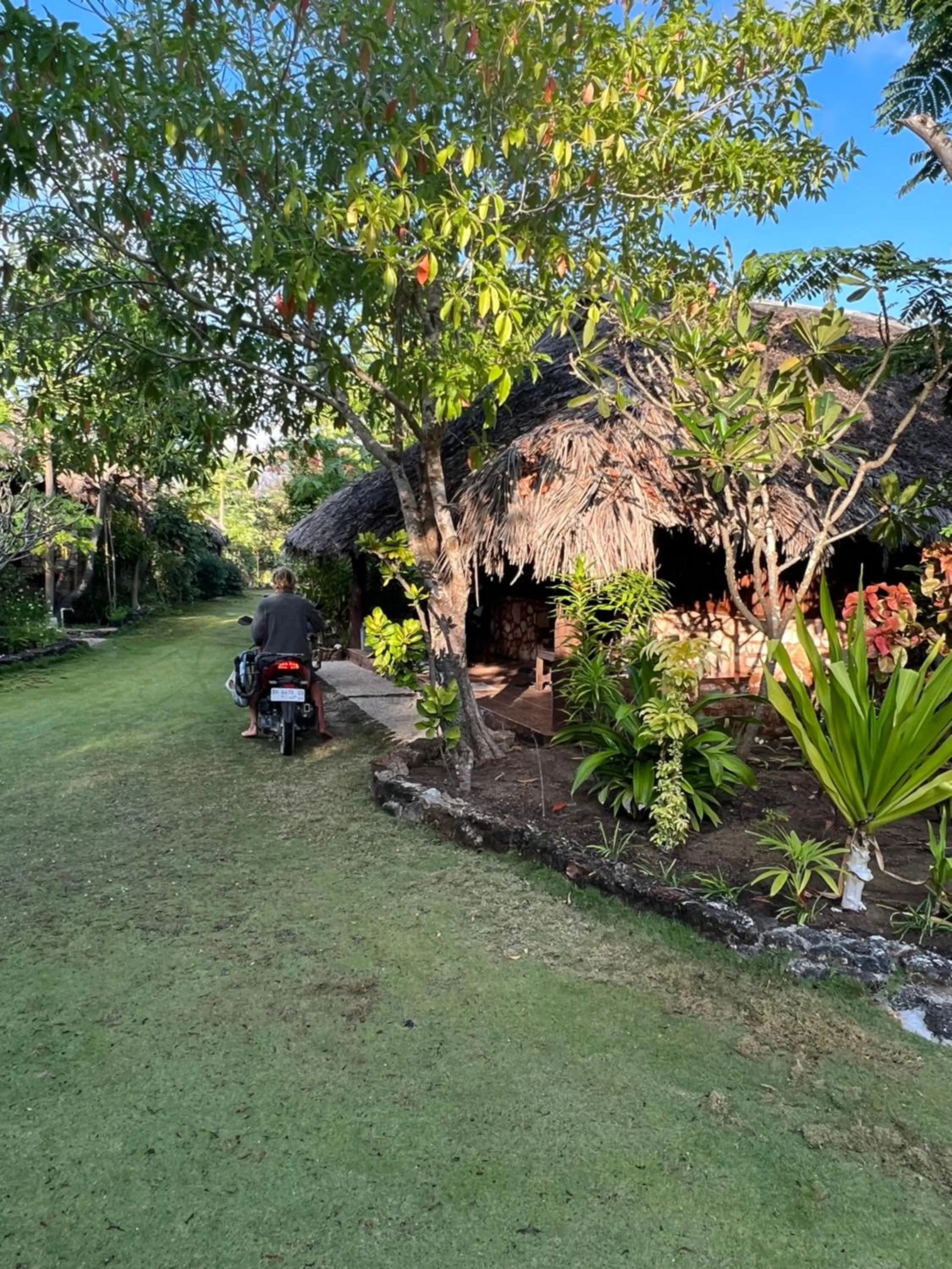 Natural landscape in Rote Surf Resort - Lualemba Bungalows