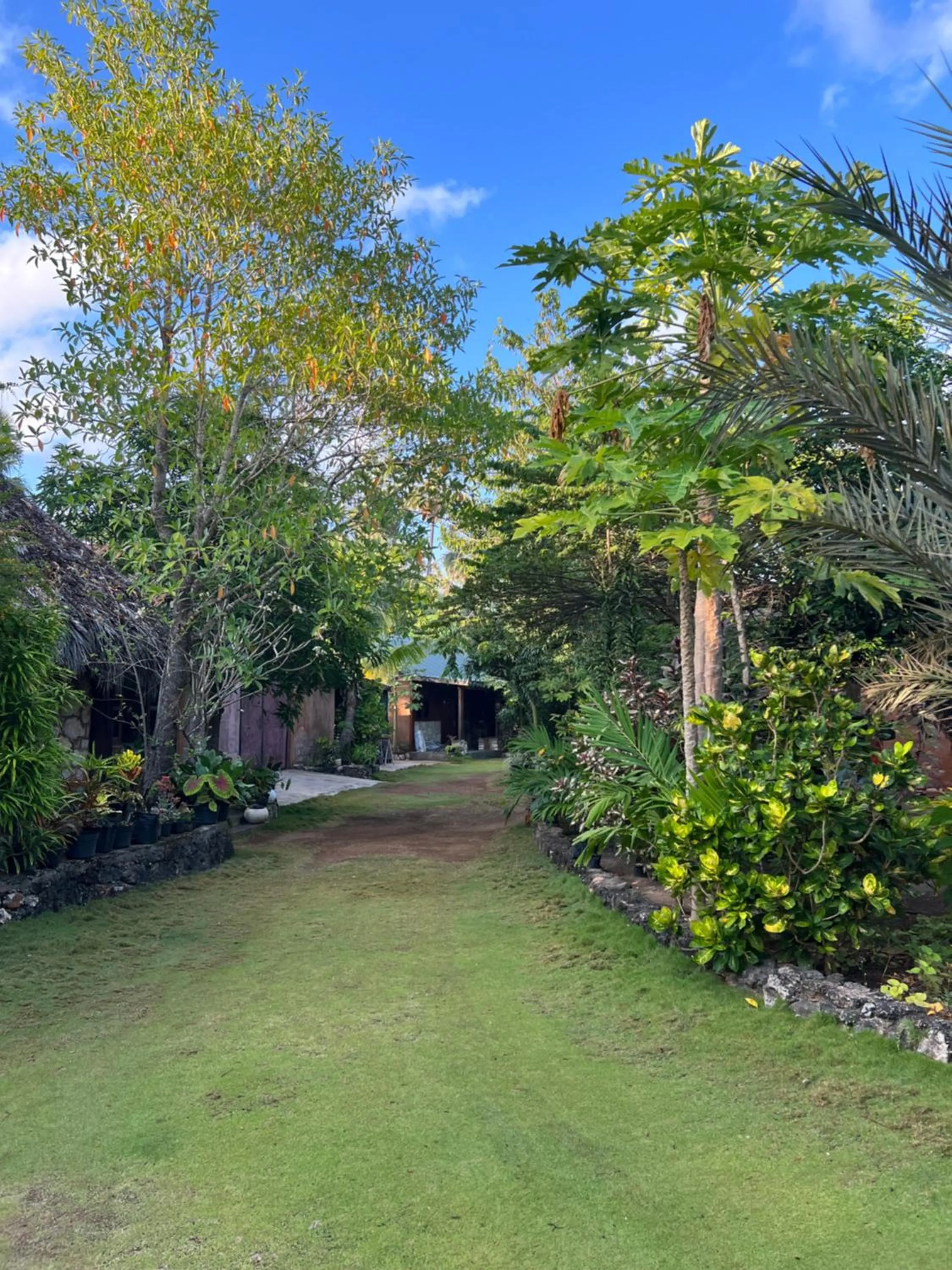 Natural landscape in Rote Surf Resort - Lualemba Bungalows